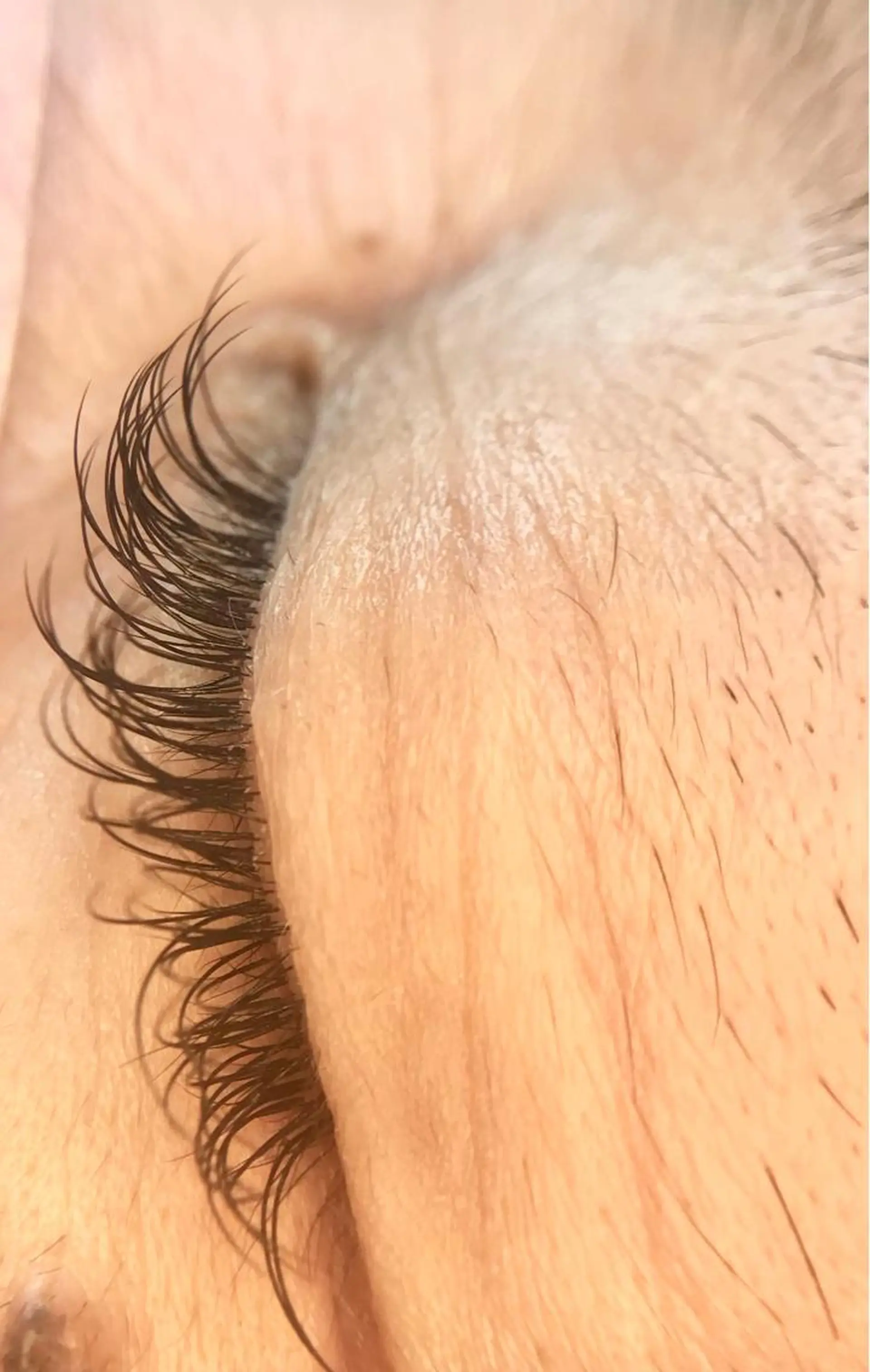 マツエク・マツパ セーブル リアン SAORIのマツエク・マツパデザイン