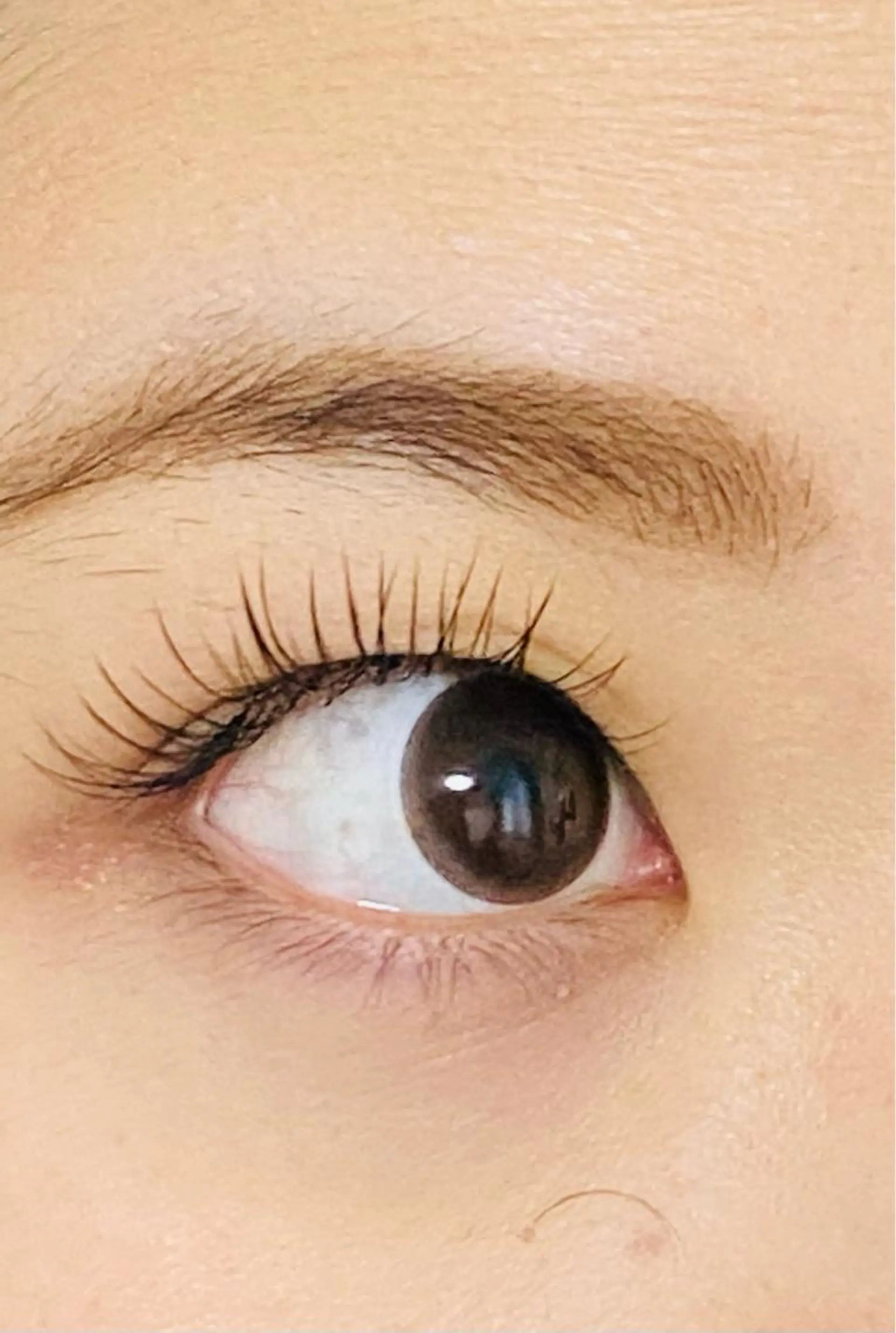 マツエク・マツパ フラットラッシュ eyes Oooのマツエク・マツパデザイン