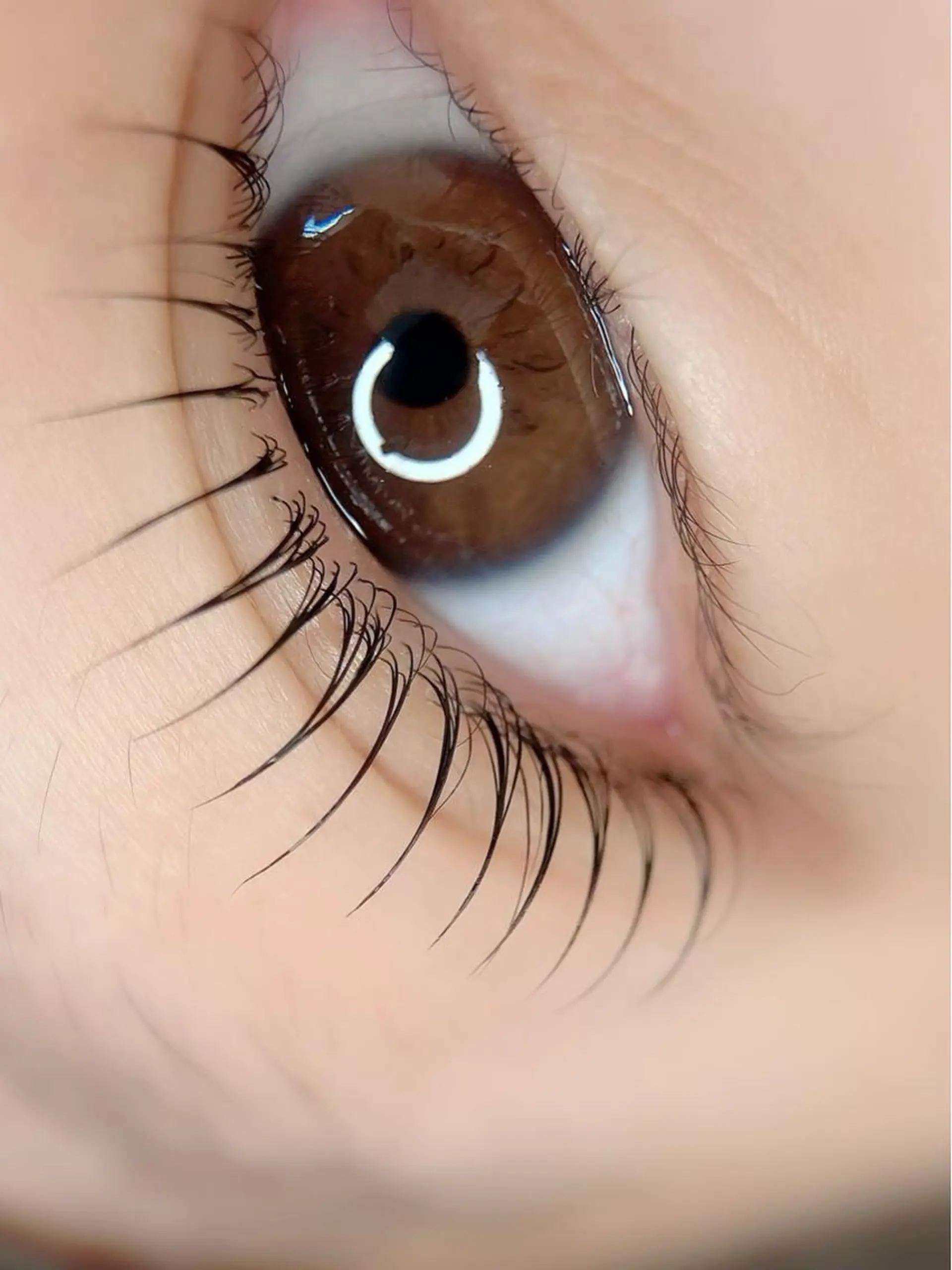 マツエク・マツパ Eyelash \\美濃加茂//伊藤のマツエク・マツパデザイン