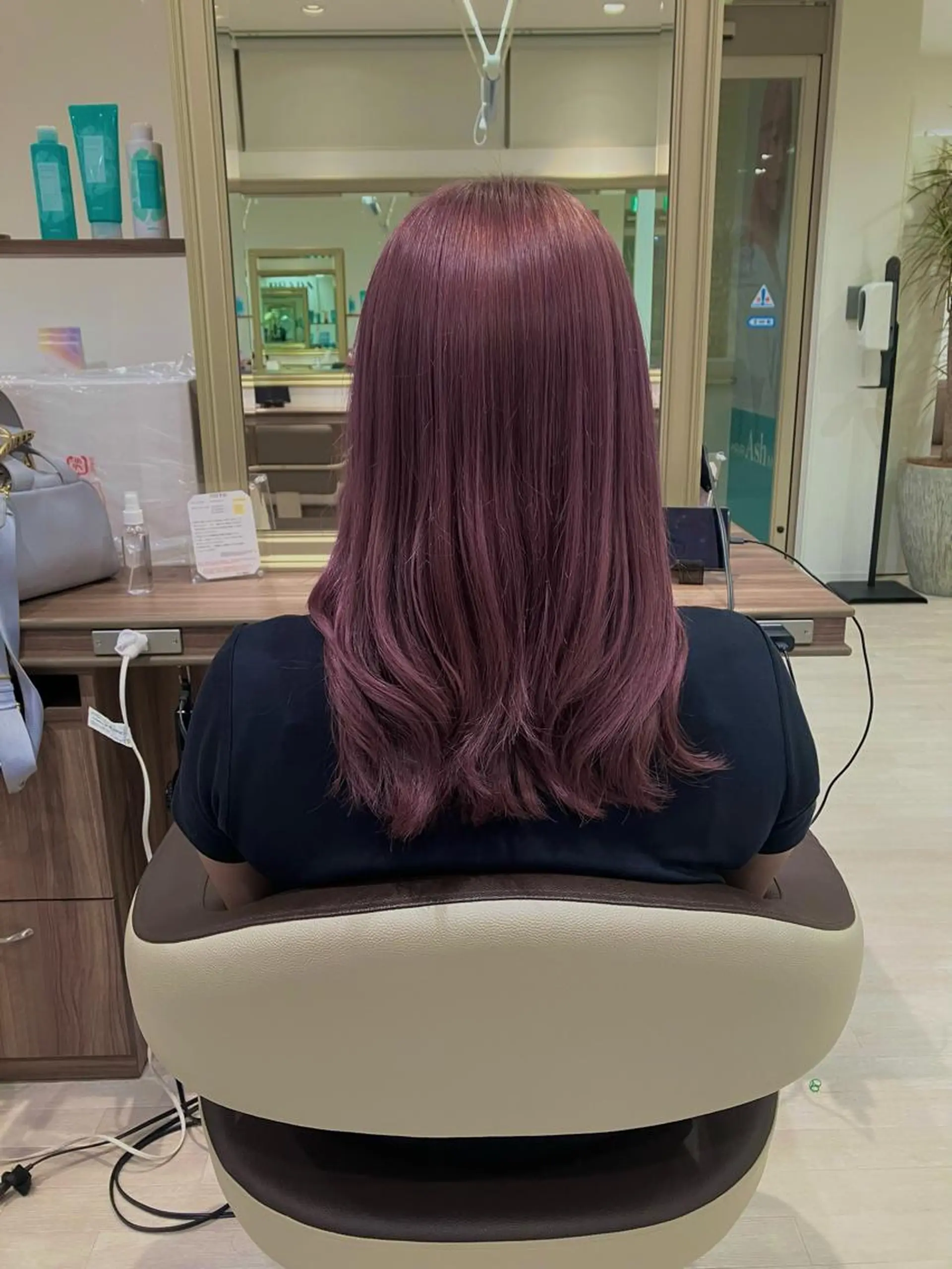 ロング カラー ヘアカラー 雅/ダブルカラー/ 白髪ぼかしハイライトのヘアスタイル