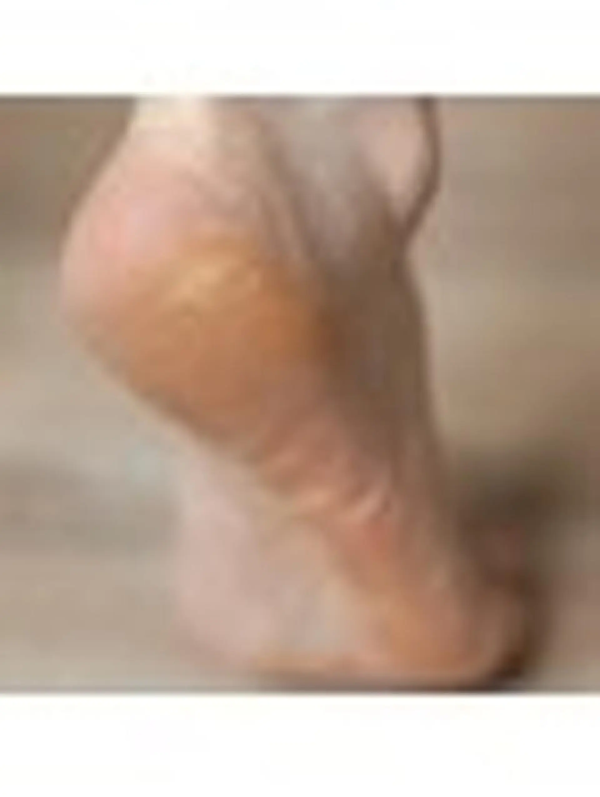 美脚マエストラ 上野由理の眉毛・アイブロウイメージ