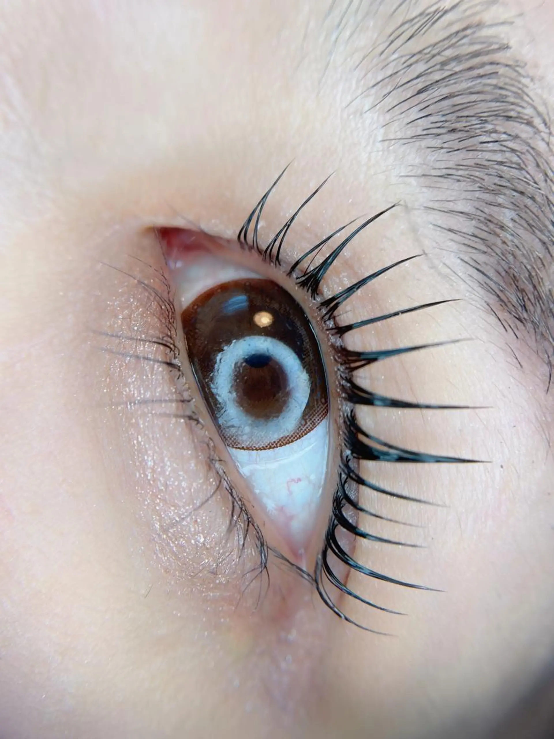 マツエク・マツパ Beauty Salon miliのマツエク・マツパデザイン