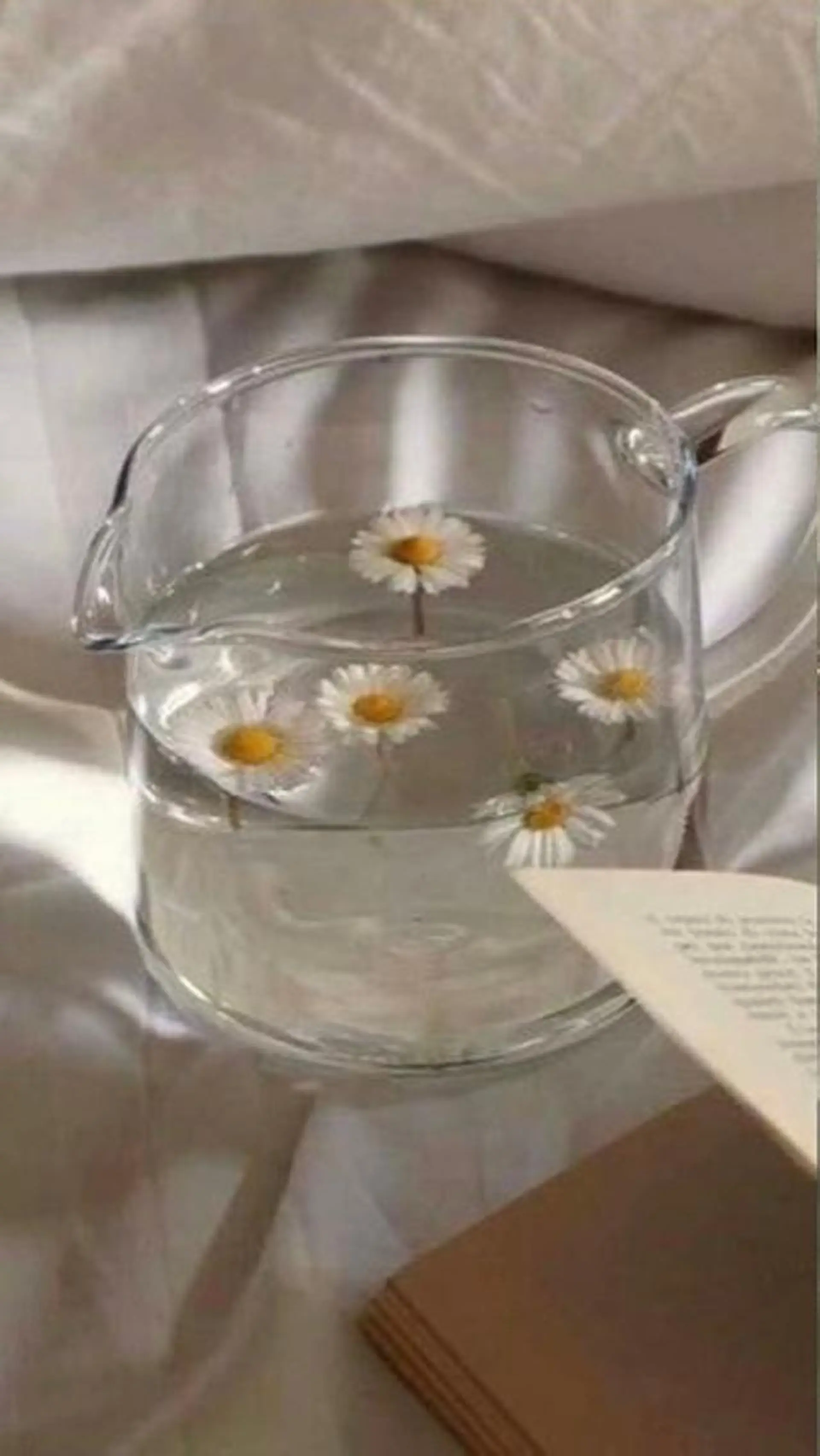 Himmel所属・Himmel  / CHISATO🎀の眉毛・アイブロウイメージ