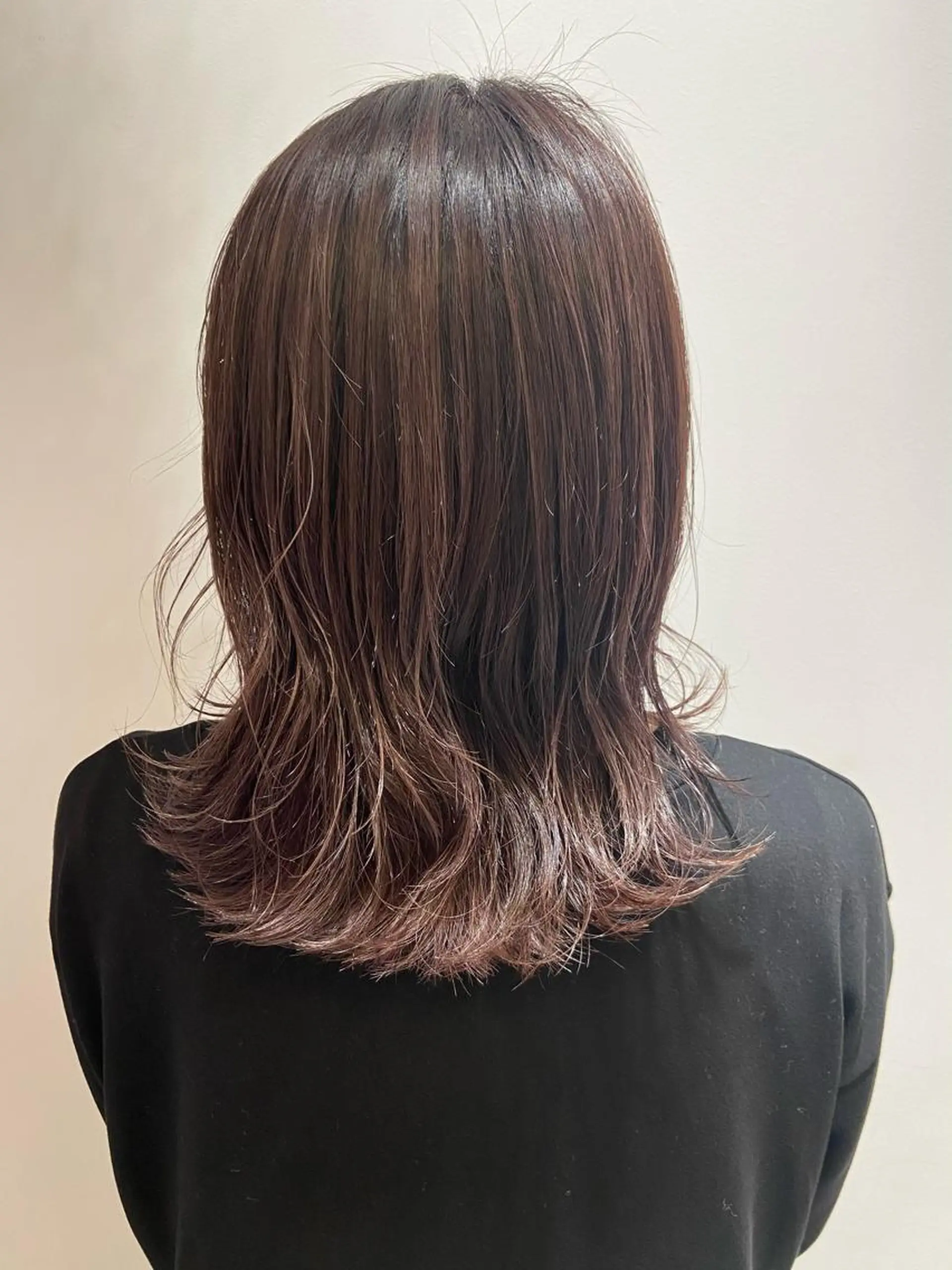 ミディアム カラー ヘアカラー 🐺ウルフ/レイヤー 似合わせ‎🤍沙羅のヘアスタイル