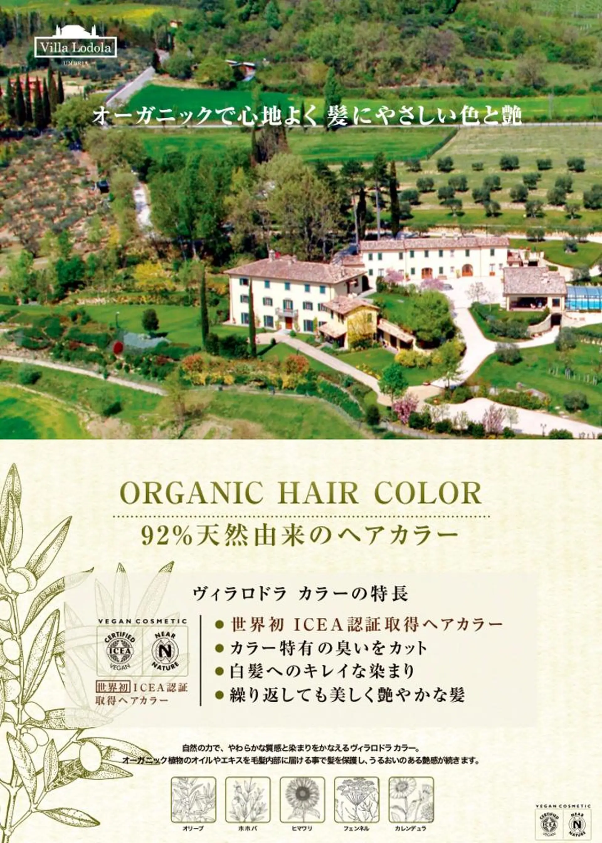 浅野 順一のヘアスタイル