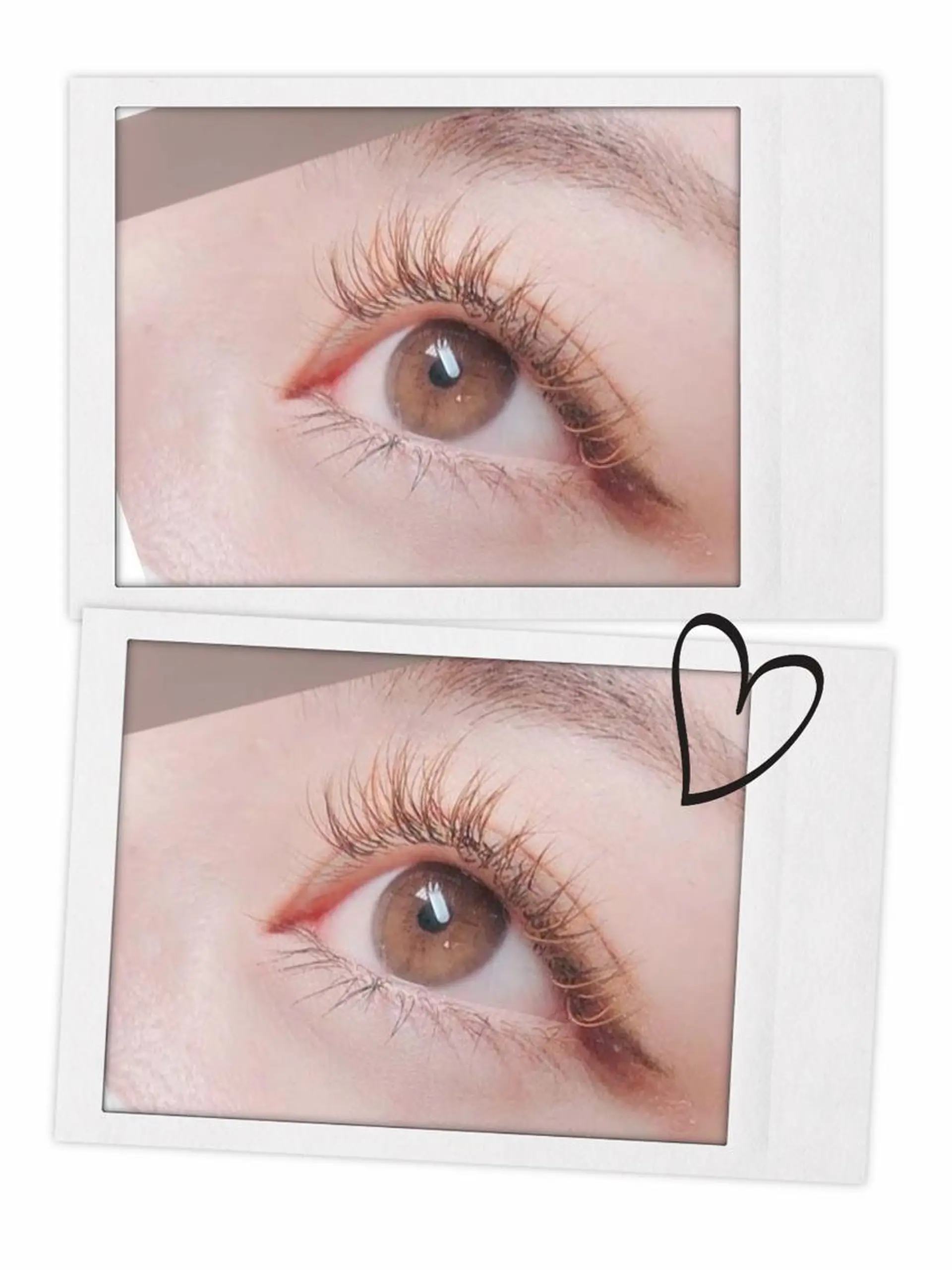 マツエク・マツパ ブラウンラッシュ カラーマツエク GO TODAY SHAiRE SALON 銀座Pace店所属・SHINO EYEのマツエク・マツパデザイン