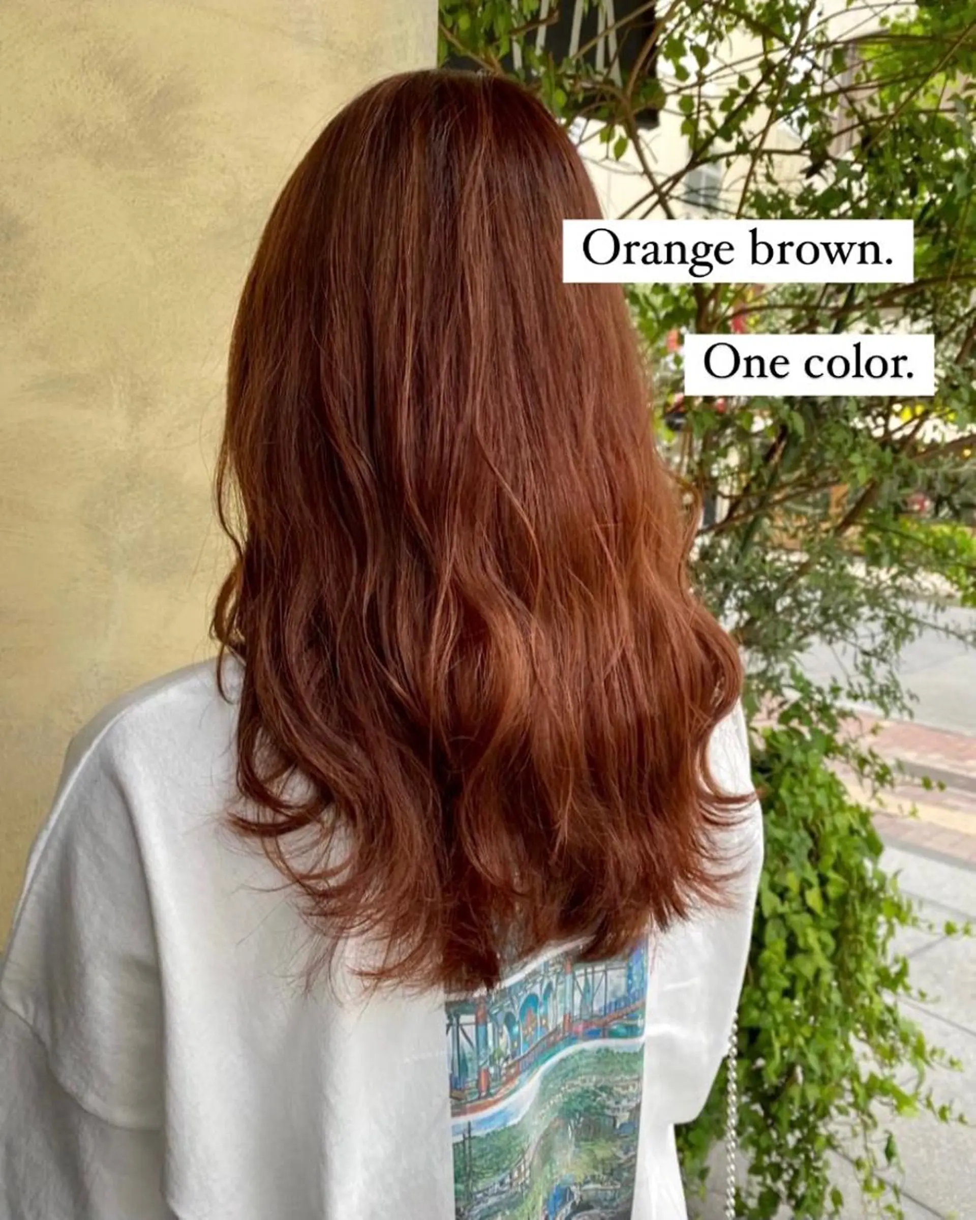 カラー ∴Sanae. ∴ トータルビューティーのマツエク・マツパデザイン