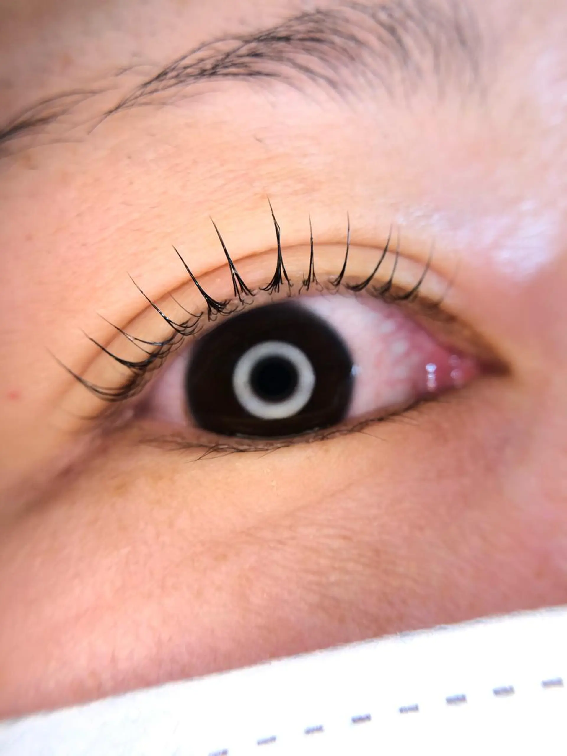 マツエク・マツパ マツパ K&E lashe /大垣　まつ毛、眉毛のマツエク・マツパデザイン