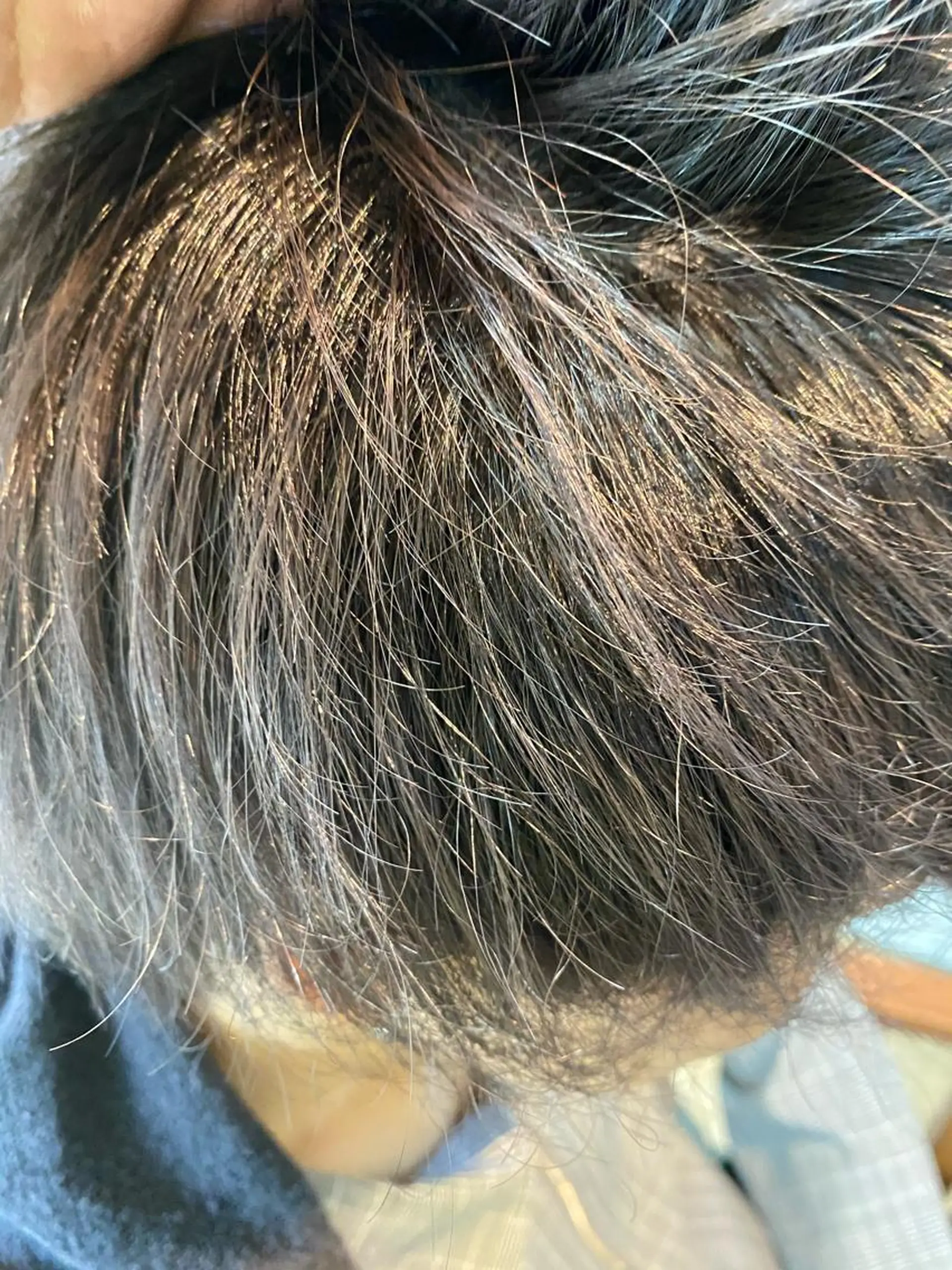 メンズ 髪質改善/メテオボブ DAISHI✨のヘアスタイル