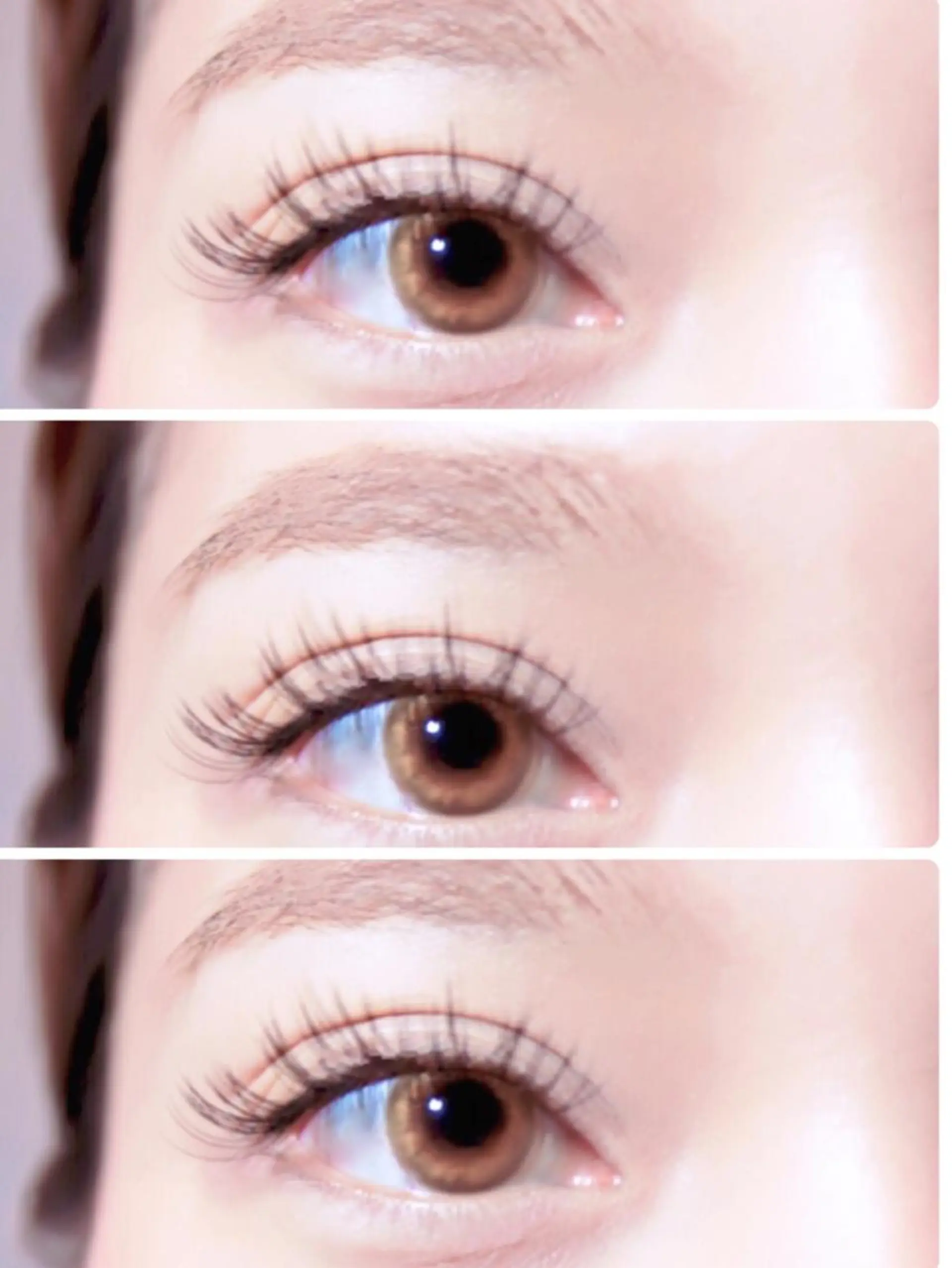 マツエク・マツパ マツエク LASHE'S BY TOTTYのマツエク・マツパデザイン