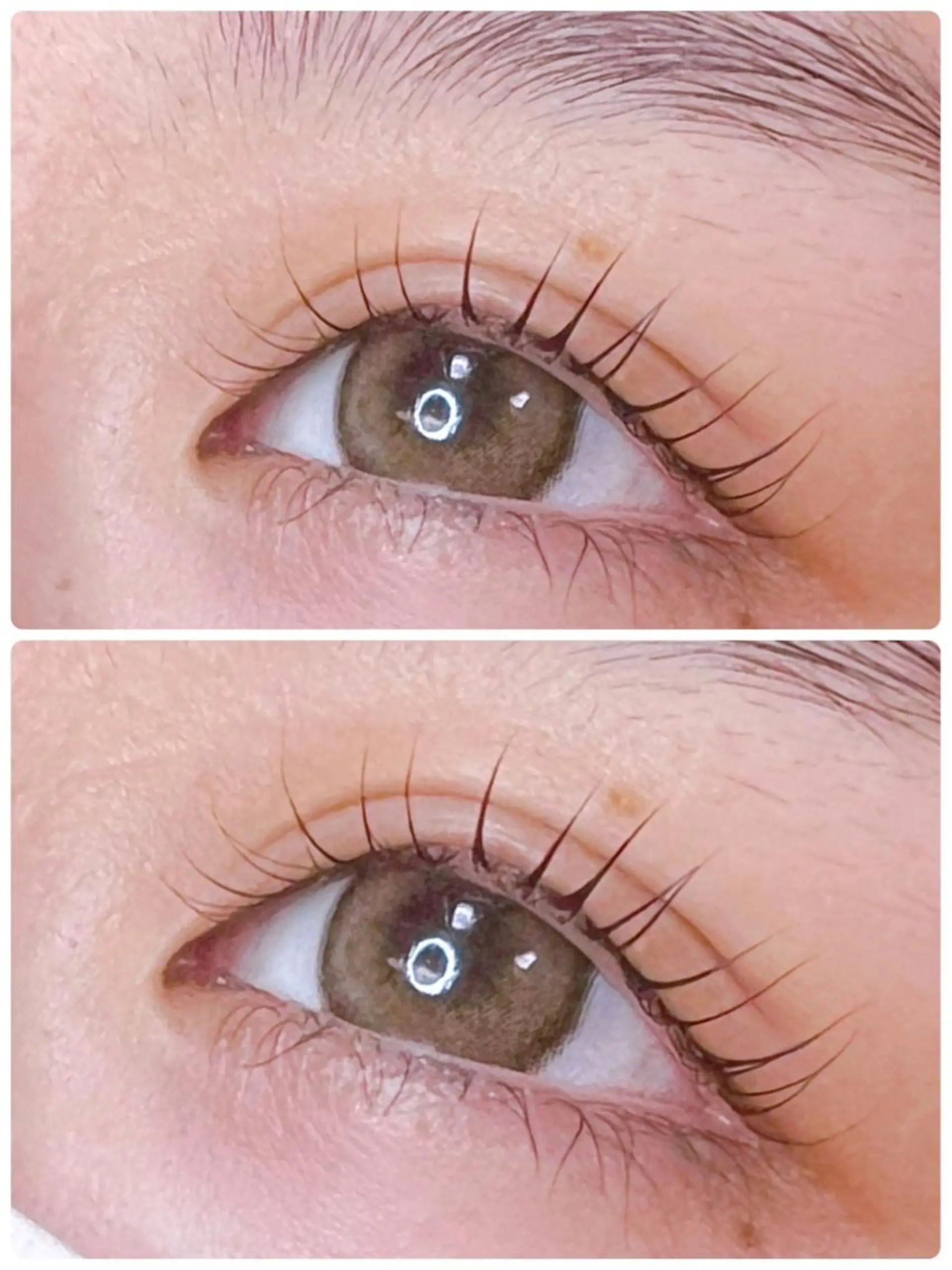 マツエク・マツパ フラットラッシュ まつげパーマ 一重×まつ毛パーマ マツパ pico所属・pico 守口 大日 門真 寝屋 摂津のマツエク・マツパデザイン