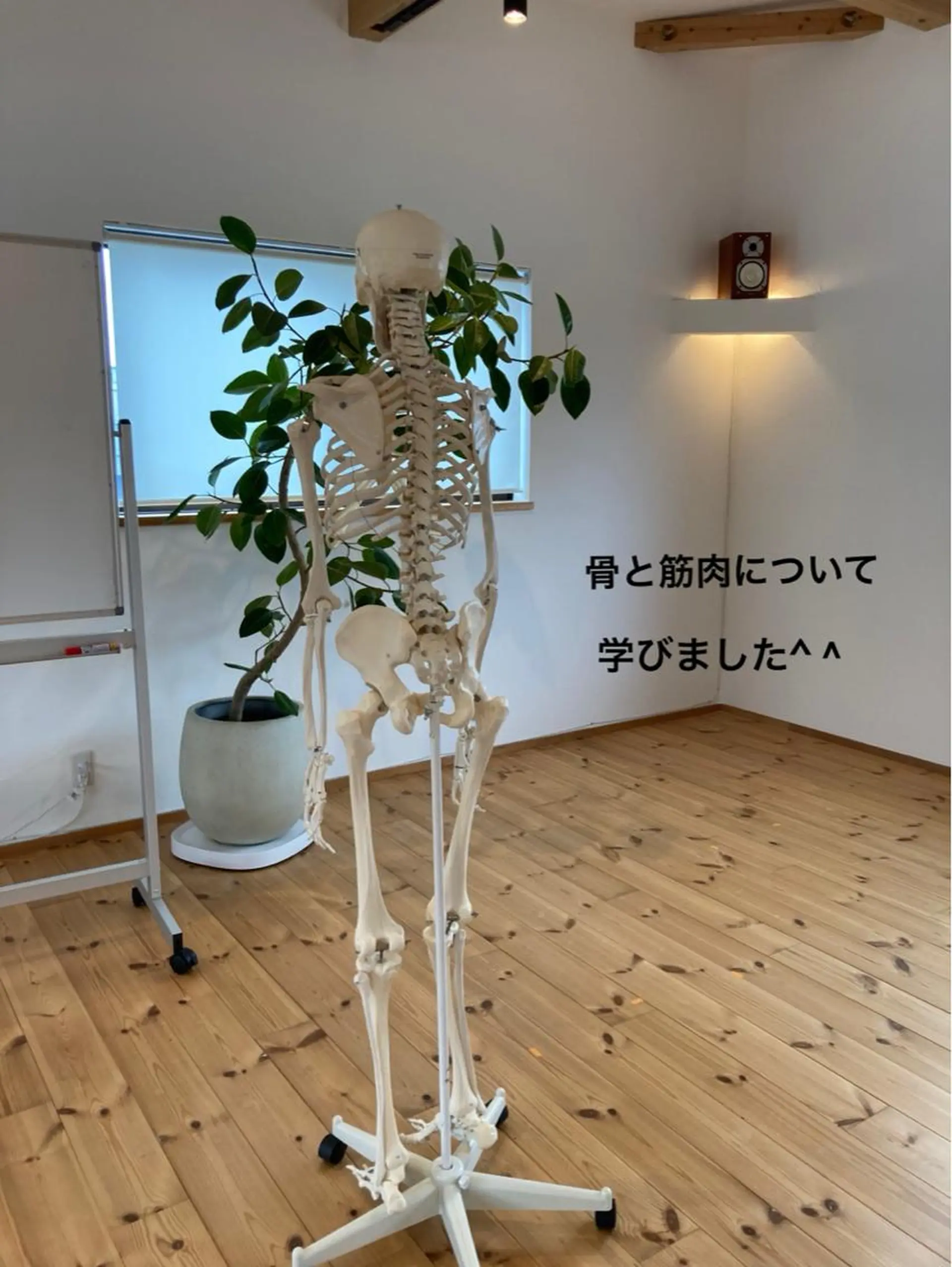 フェイシャルサロン ビアンカガーデンのエステ・リラクイメージ