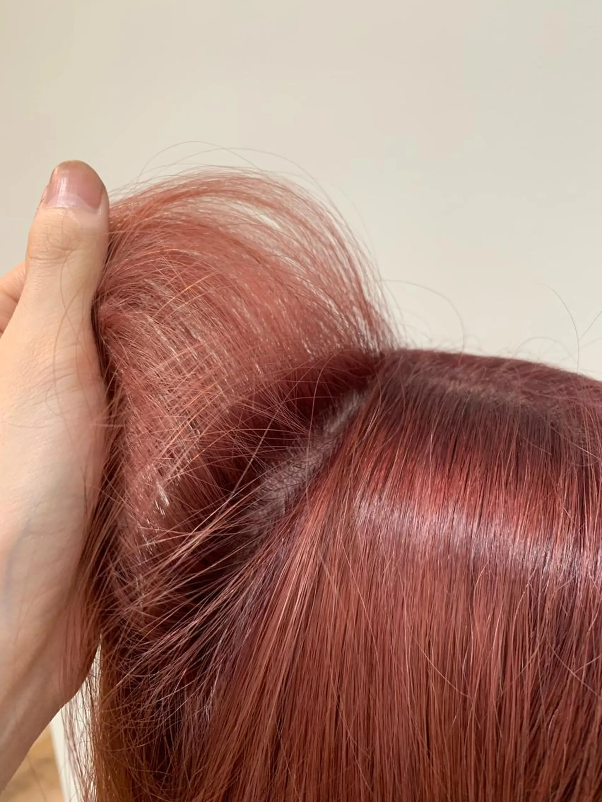 カラー 北浜 カットモデル募集のヘアスタイル