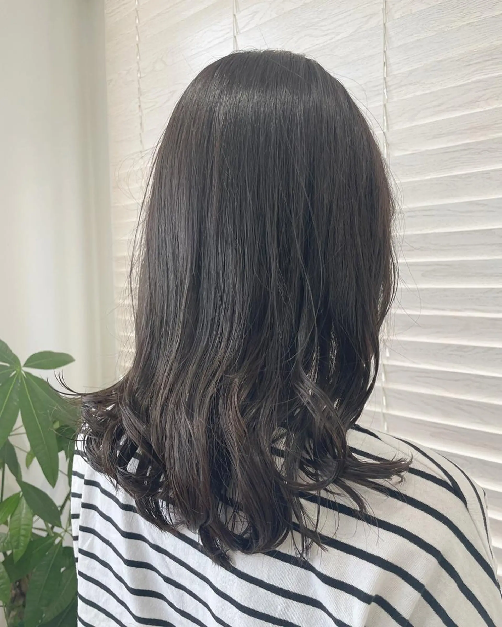 セミロング カラー 〘 ROSSO〙 yunonのヘアスタイル