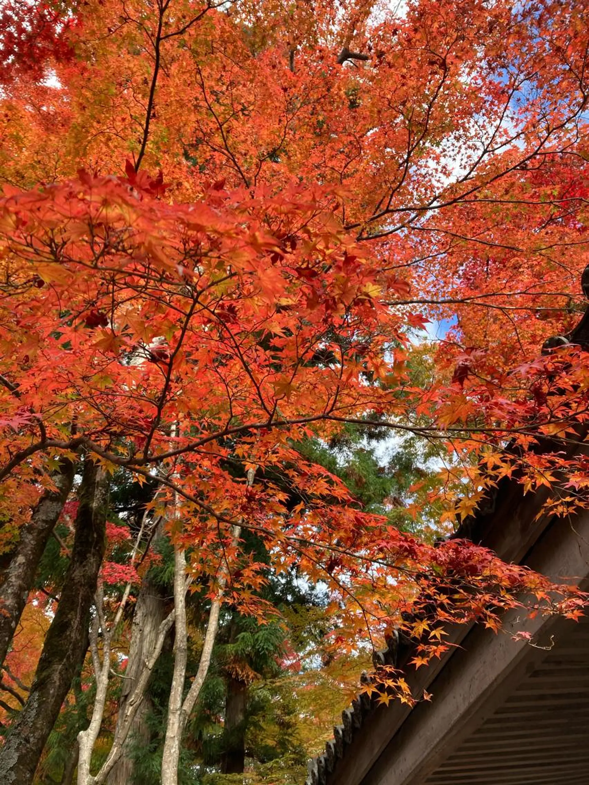ポーラザビューティー 松原店のエステ・リラクイメージ