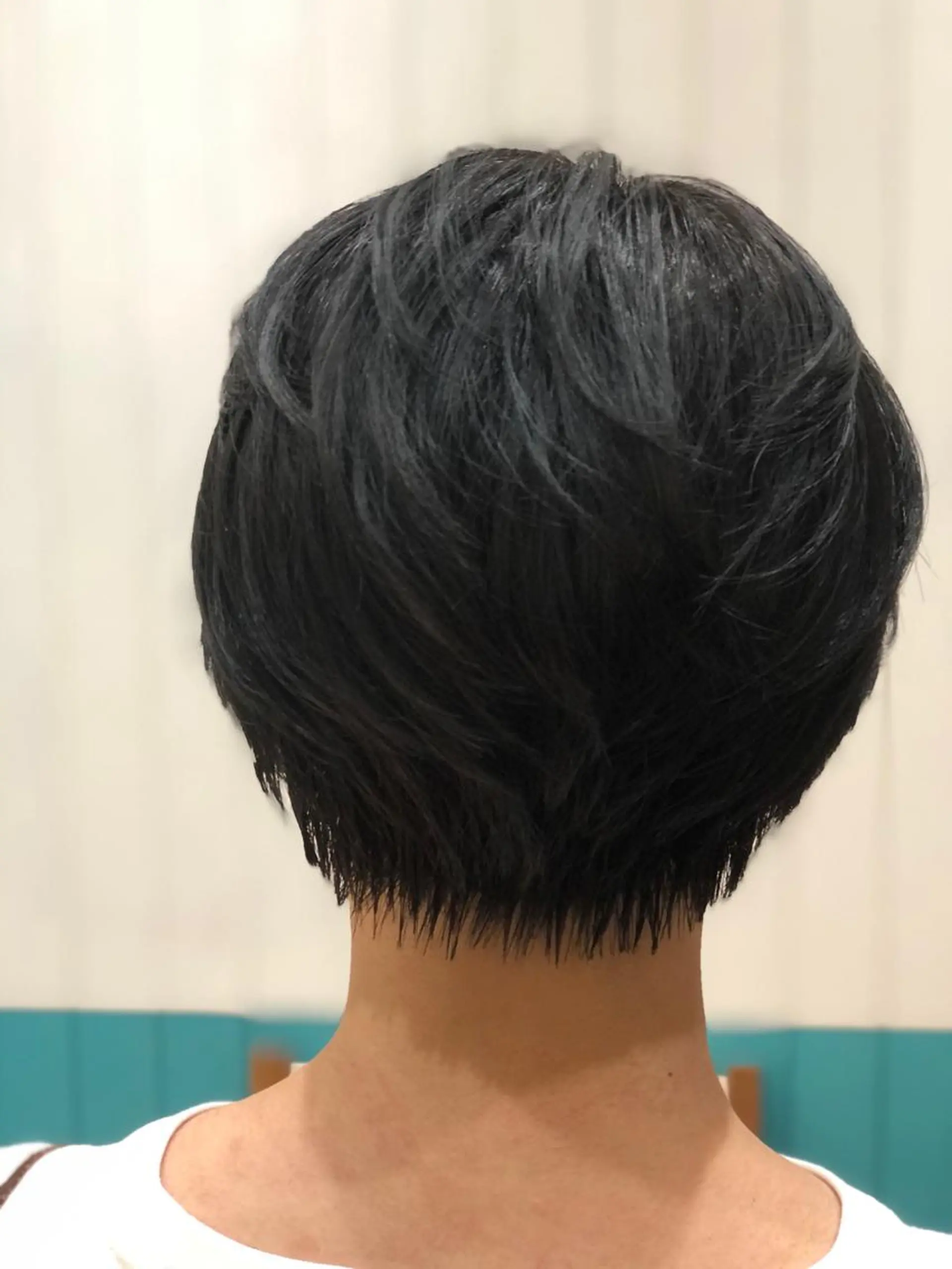 ショート カラー ショートボブ 黒髪 ブルーカラー ブルーブラック ボブ Snaly カラー特化ページのヘアスタイル