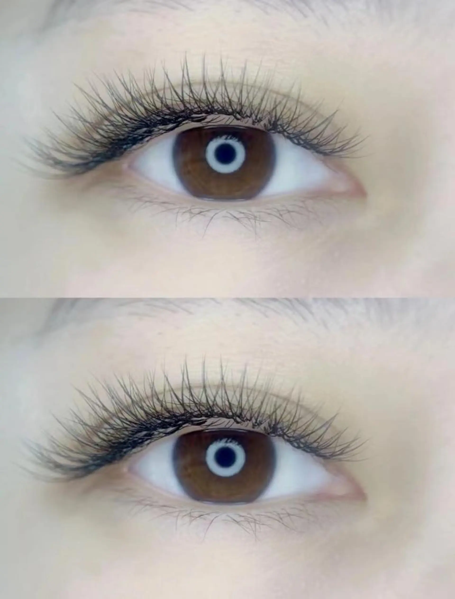 マツエク・マツパ マツエク 羽賀 美和のマツエク・マツパデザイン