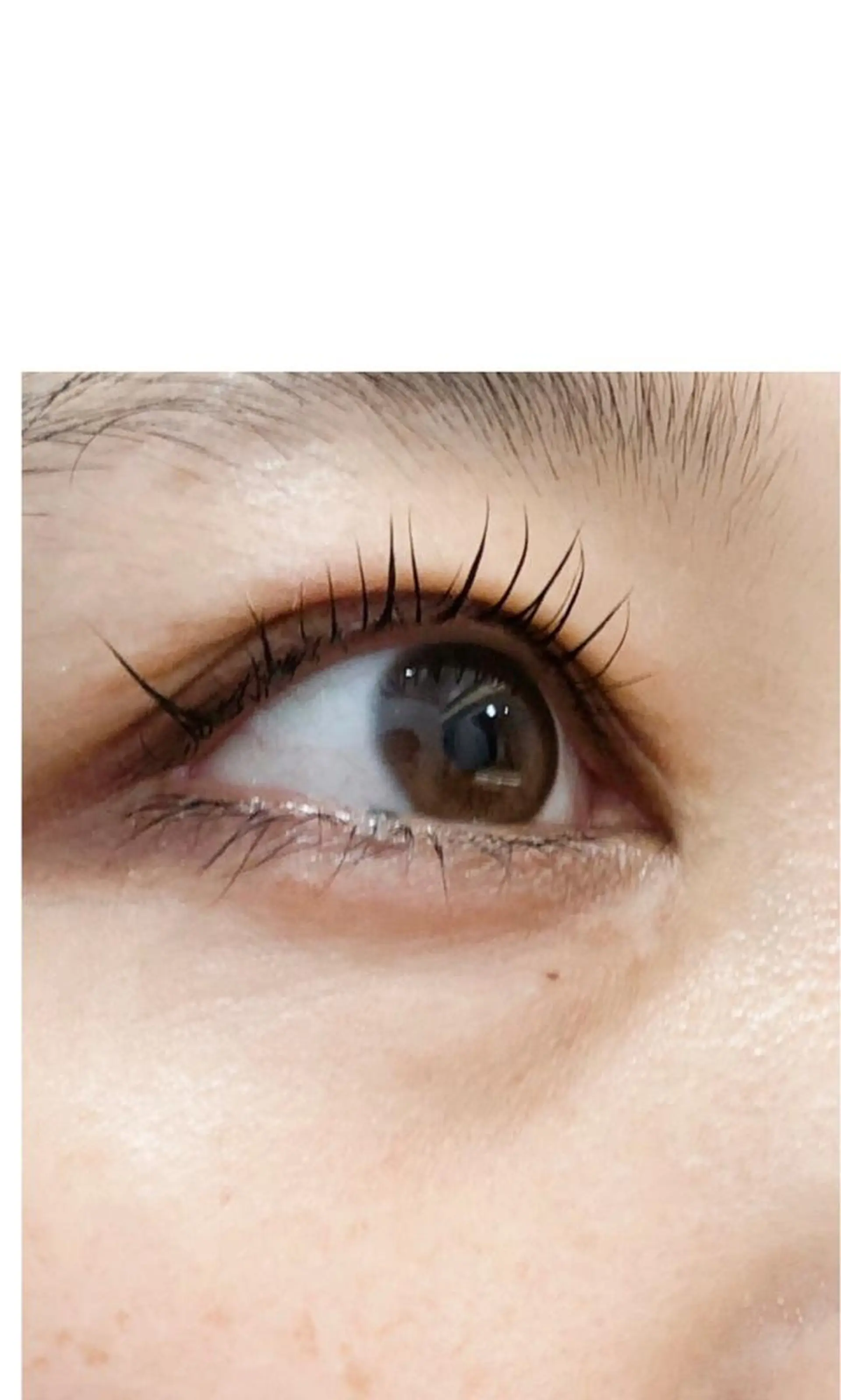 マツエク・マツパ Melissaヘアーandスパ所属・Melissa Melissaのマツエク・マツパデザイン