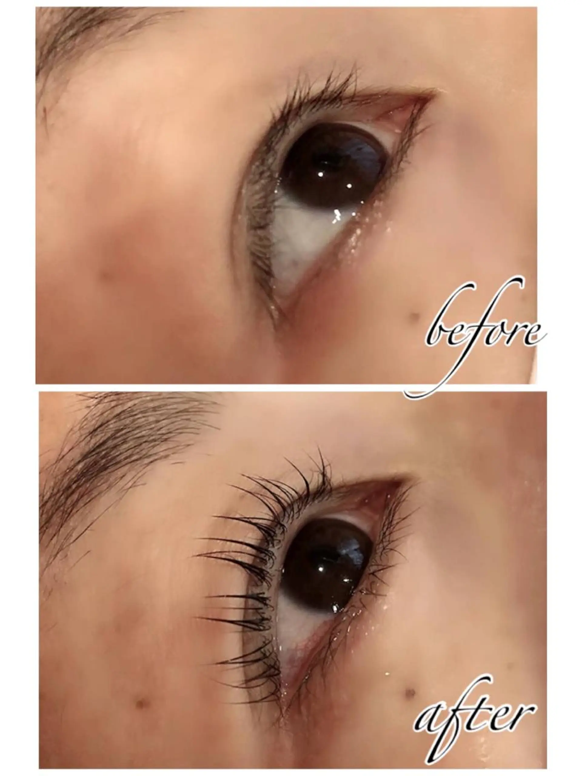 マツエク・マツパ マツパ トータルビューティーサロン リコラ所属・Licola リコラのヘアスタイル