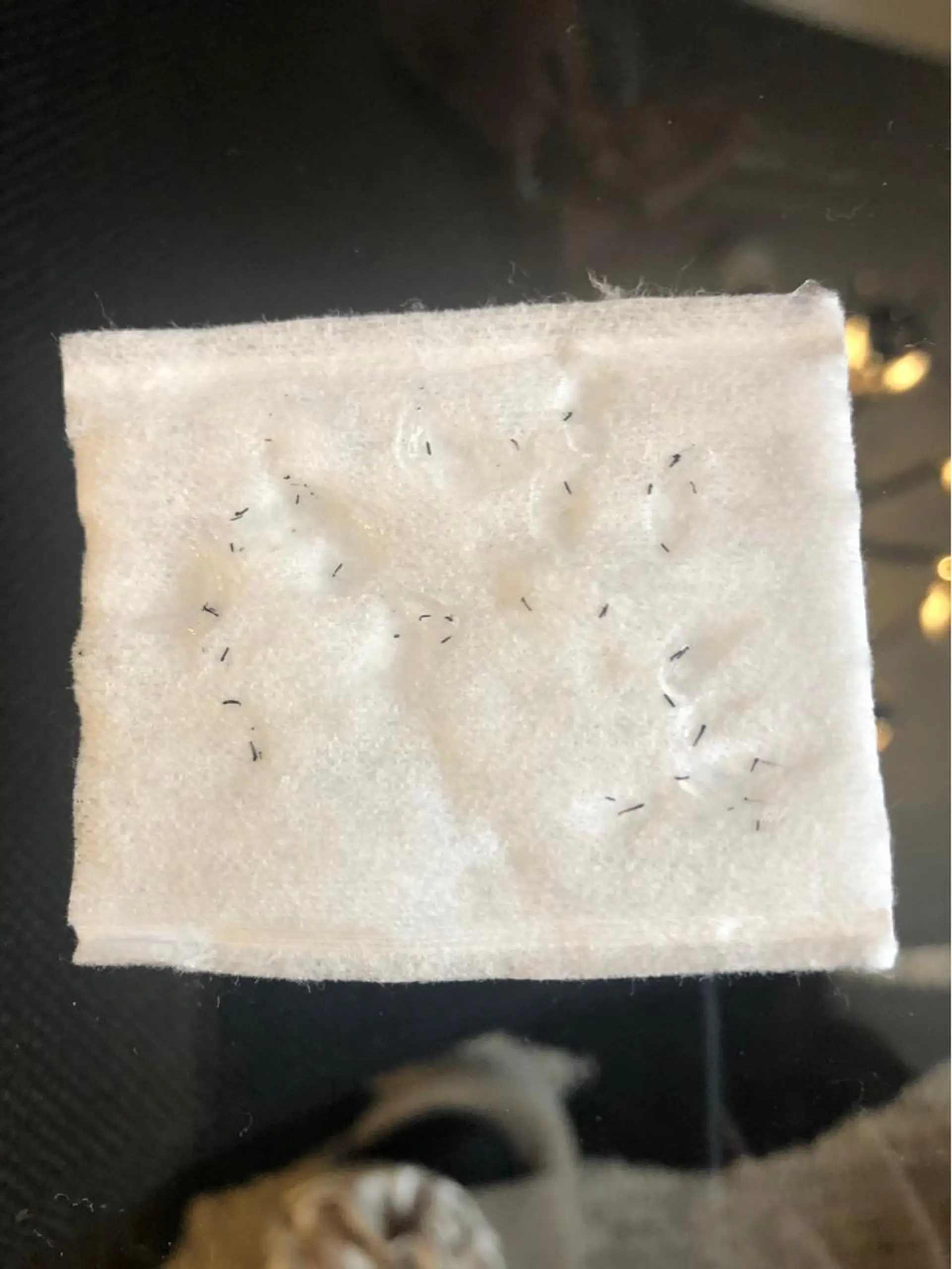 メンズ 井上 みあのエステ・リラクイメージ