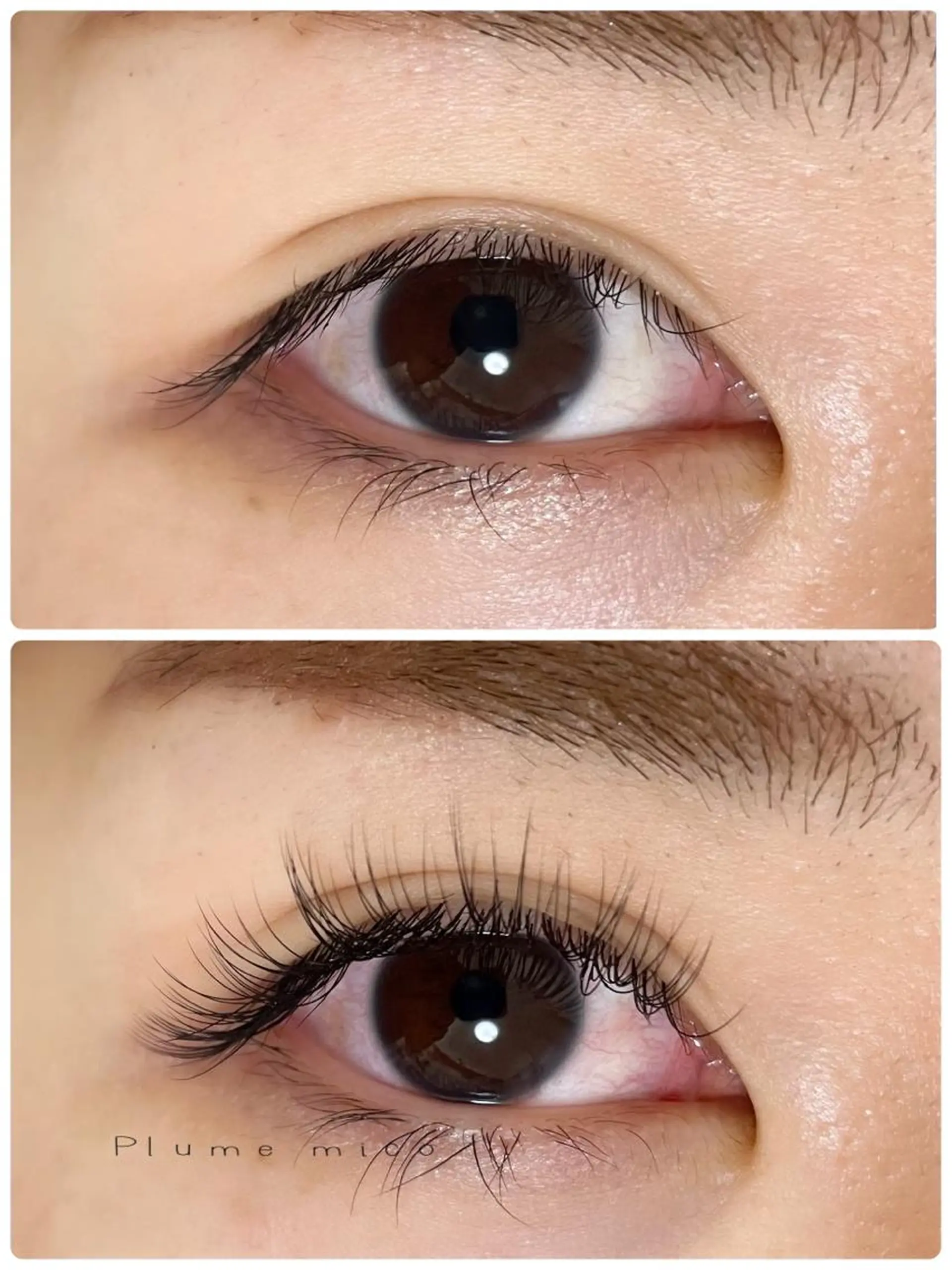 マツエク・マツパ マツエク Plume micoのマツエク・マツパデザイン