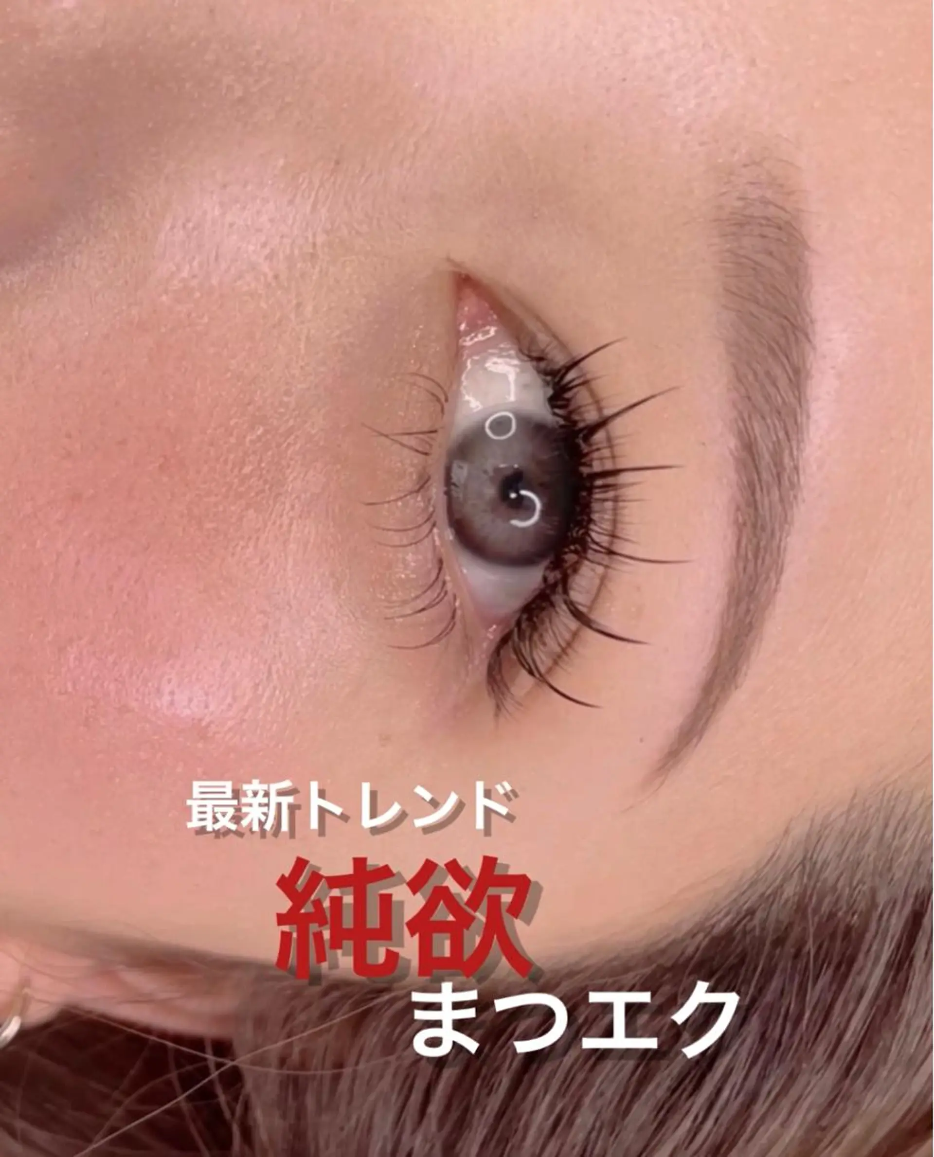 マツエク・マツパ ワンホンマツエク 無料モデル募集中 Ann Mossのマツエク・マツパデザイン