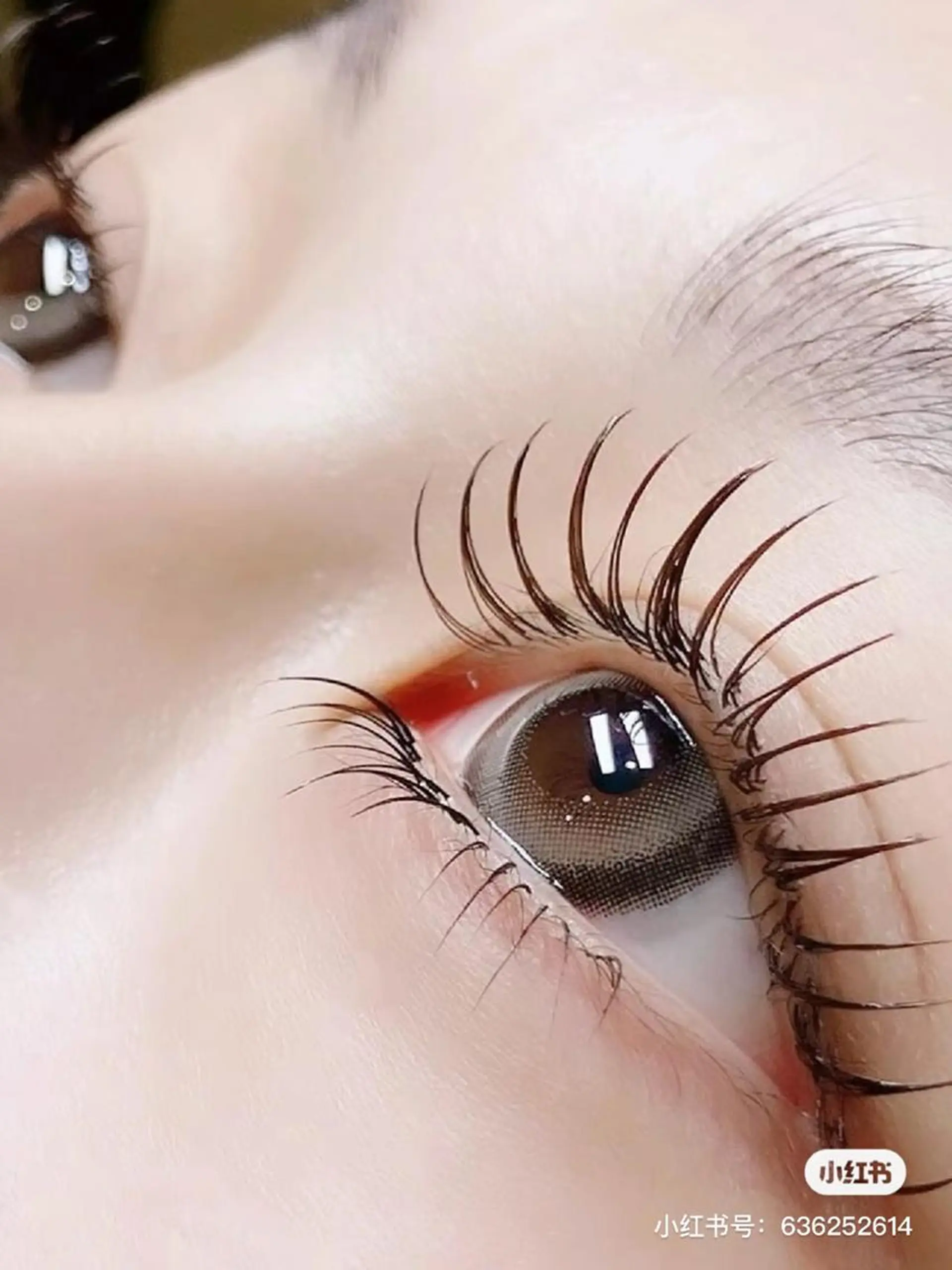 マツエク・マツパ バインドロック カラーマツエク フラットラッシュ 韓国風マツエク まつげパーマ AB マツエクネイルサロンのマツエク・マツパデザイン