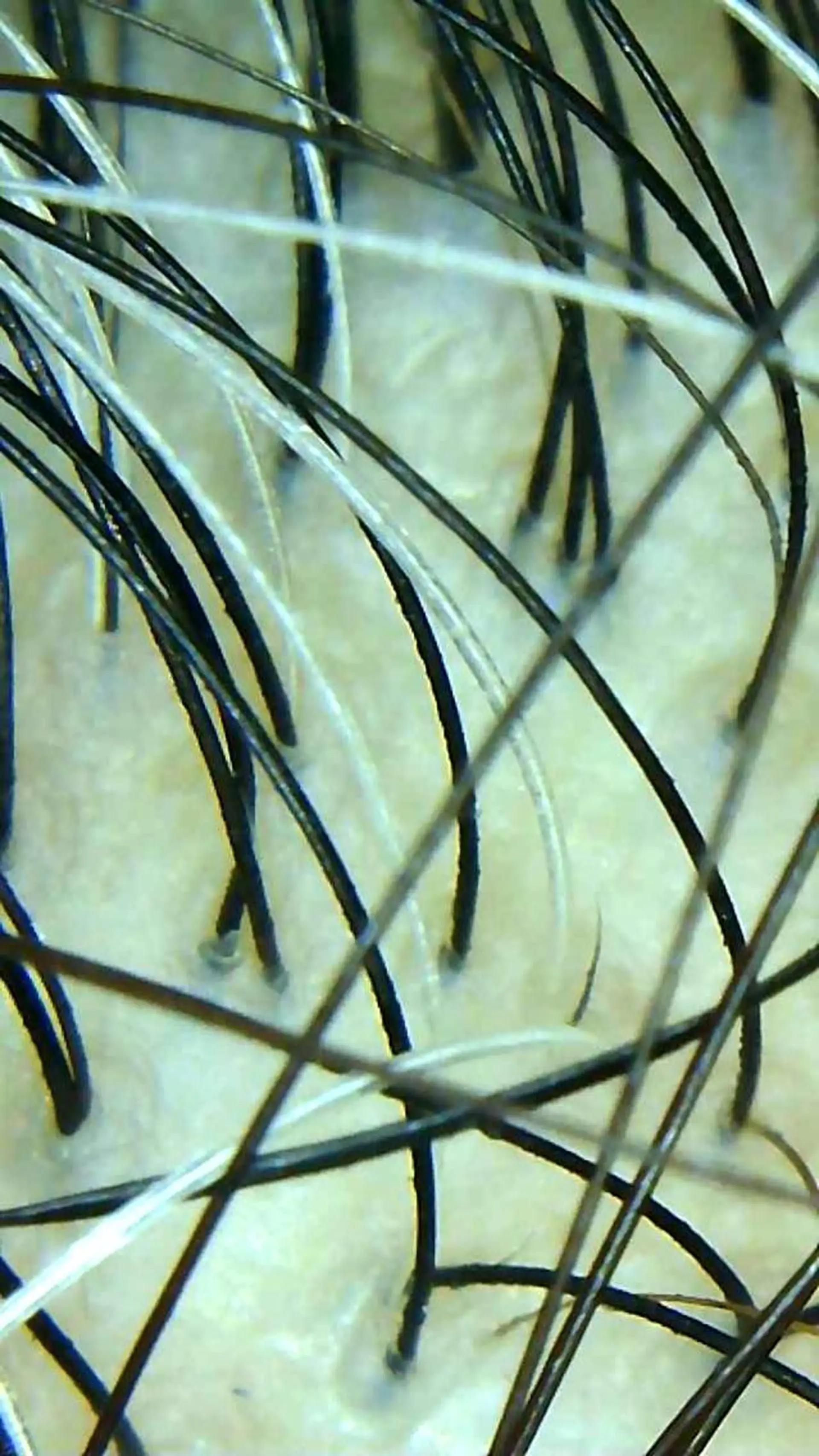 セントラル鍼灸院 Re:laxyのヘアスタイル