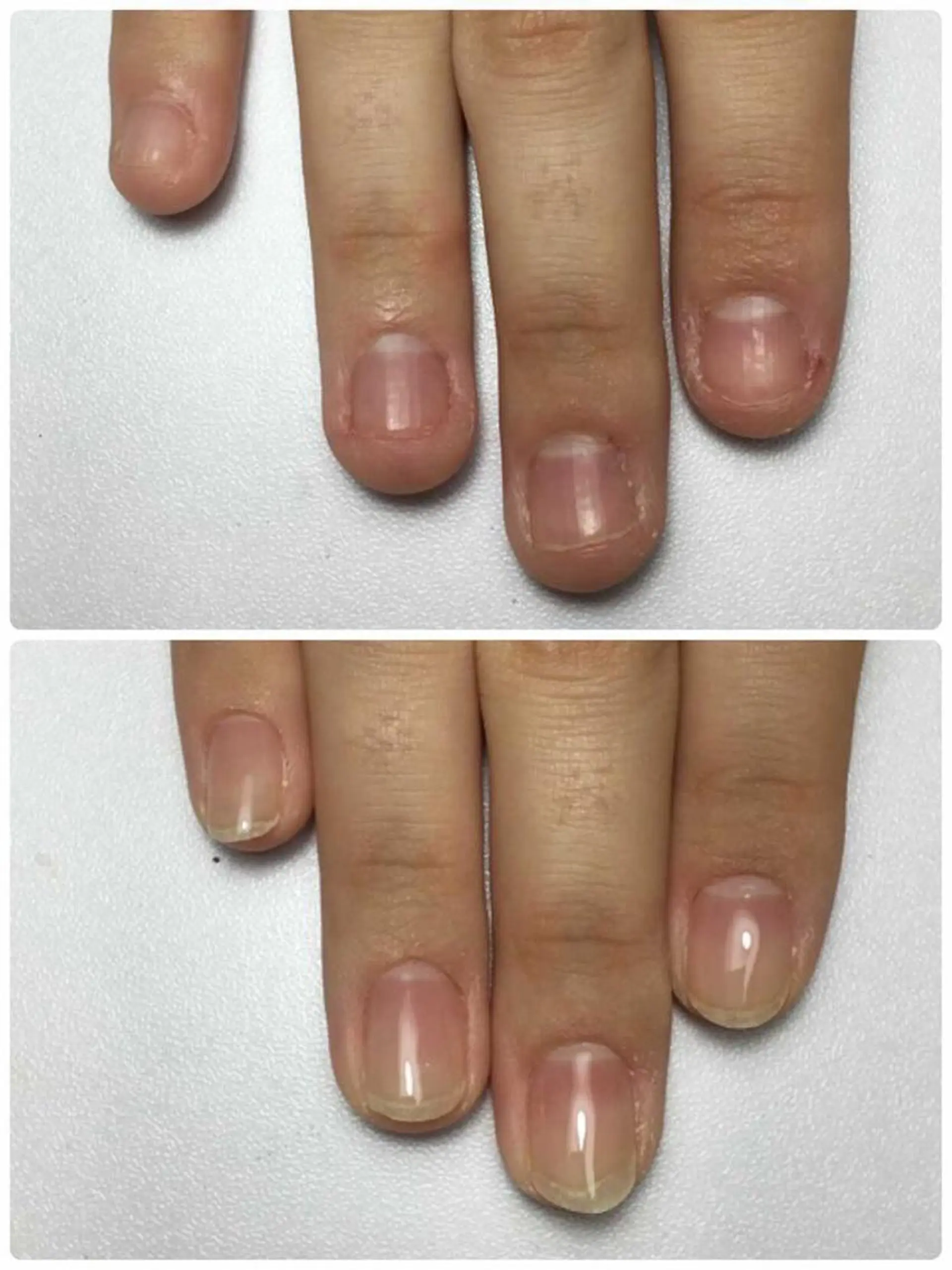 ネイル Sakurai Satomiのマツエク・マツパデザイン