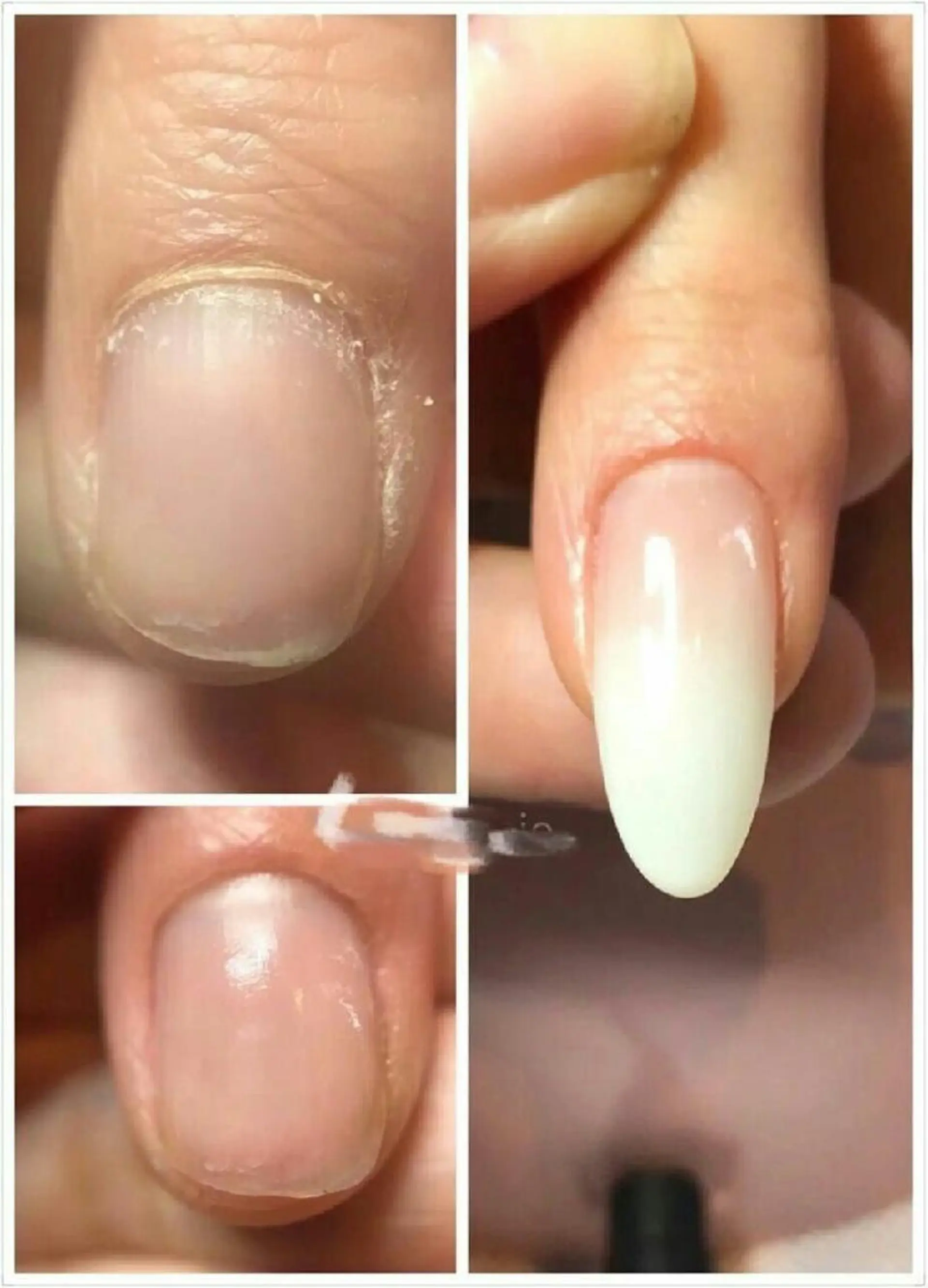 ネイル Melody  3D/スカルプ専門店のネイルデザイン