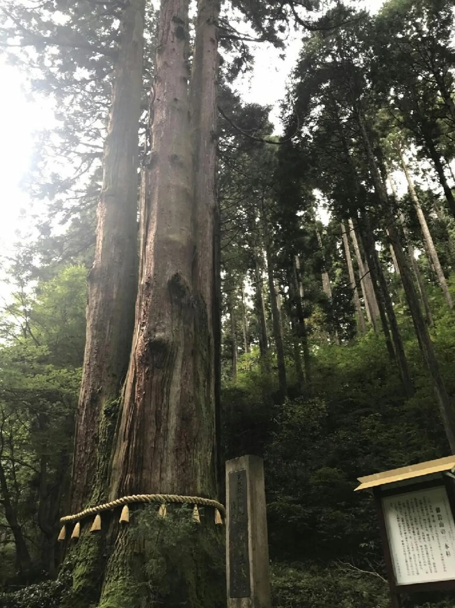 g*rossa高橋 くみこのエステ・リラクイメージ