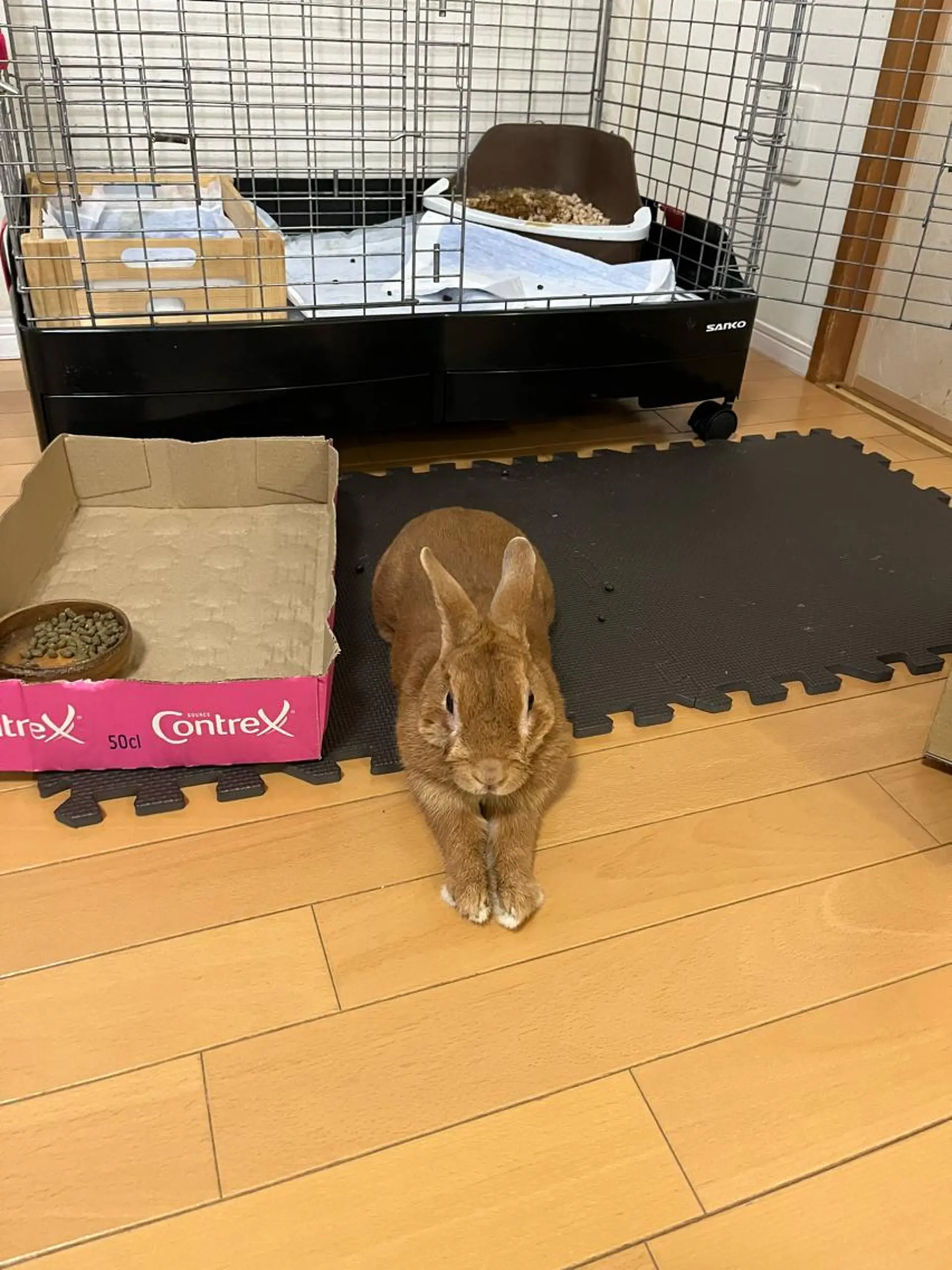 マツエク・マツパ 紙屋 隼人のヘアスタイル