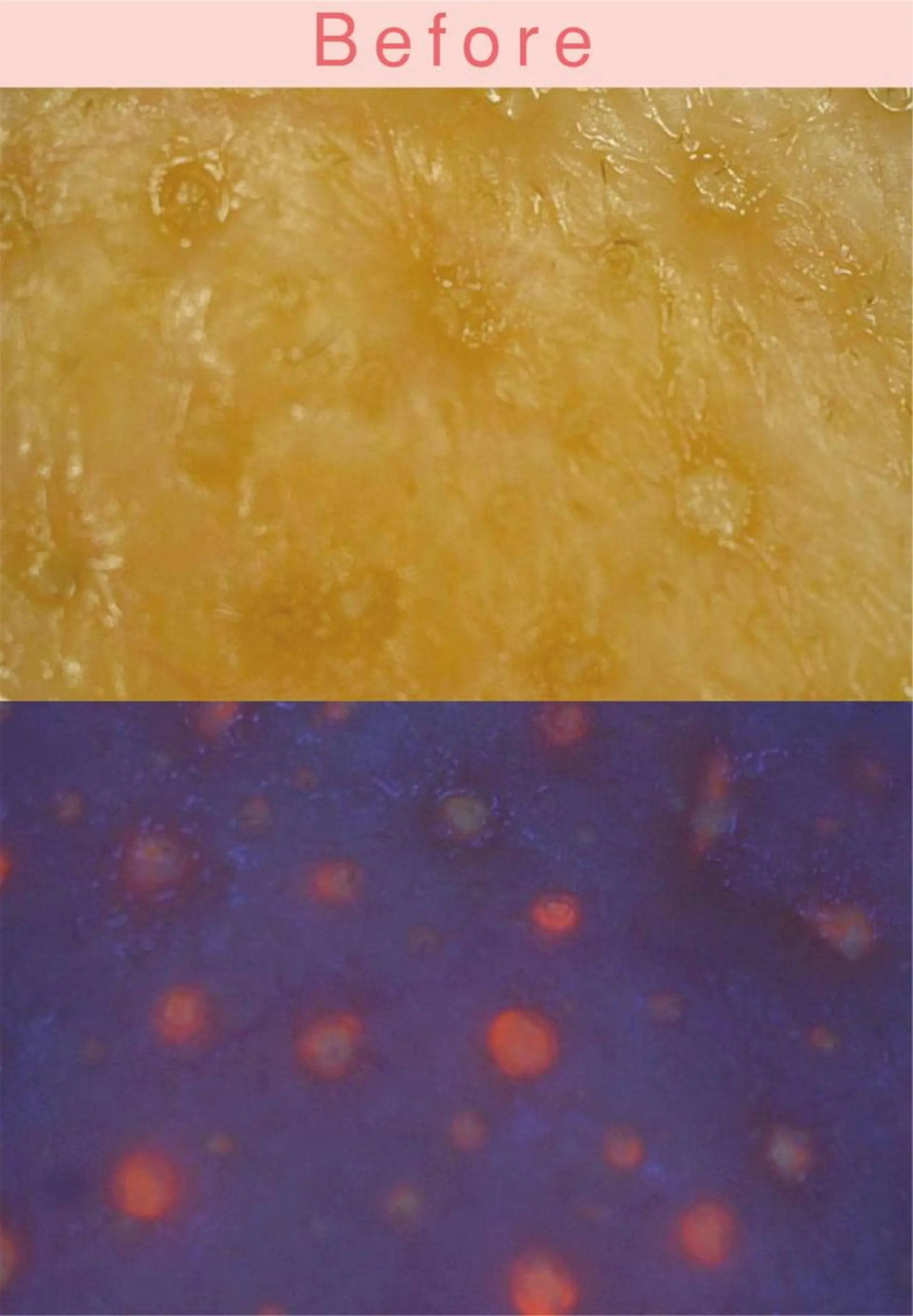 ポアレスサロン フィルのエステ・リラクイメージ