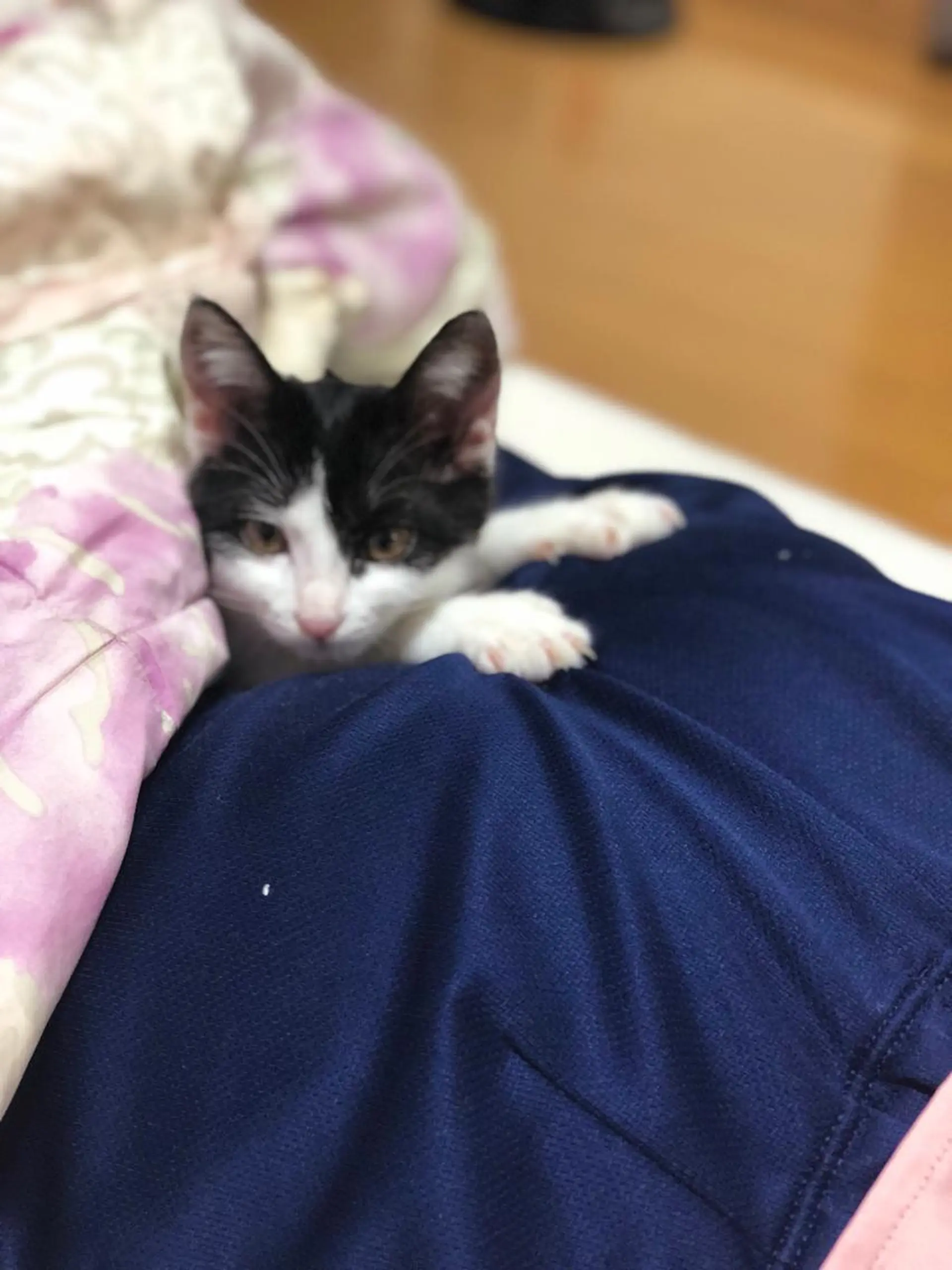 メナードフェイシャルサロン高崎倉賀野店所属・メナード山口 陽子のエステ・リラクイメージ