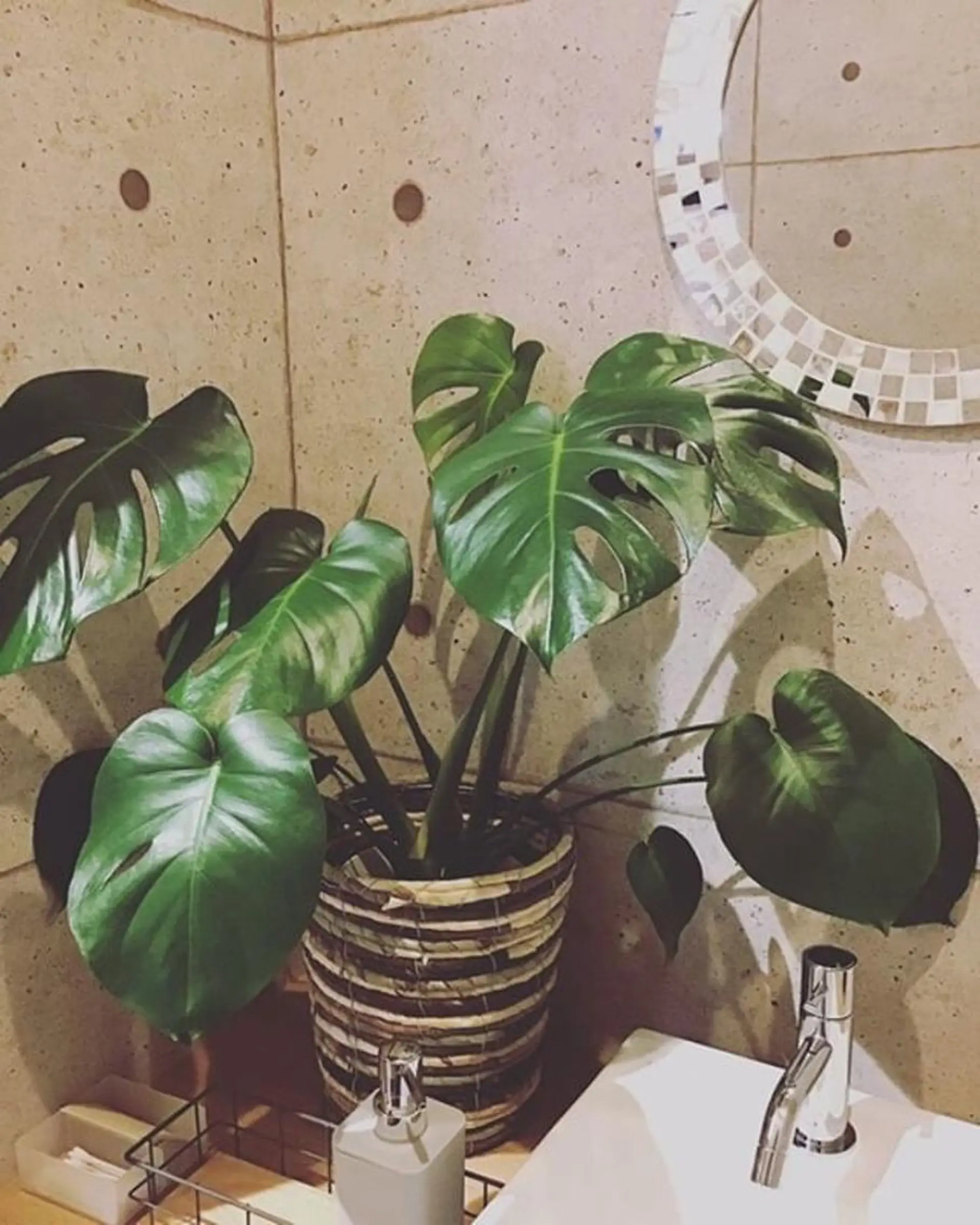 hair＆nail NO-MUのネイルデザイン