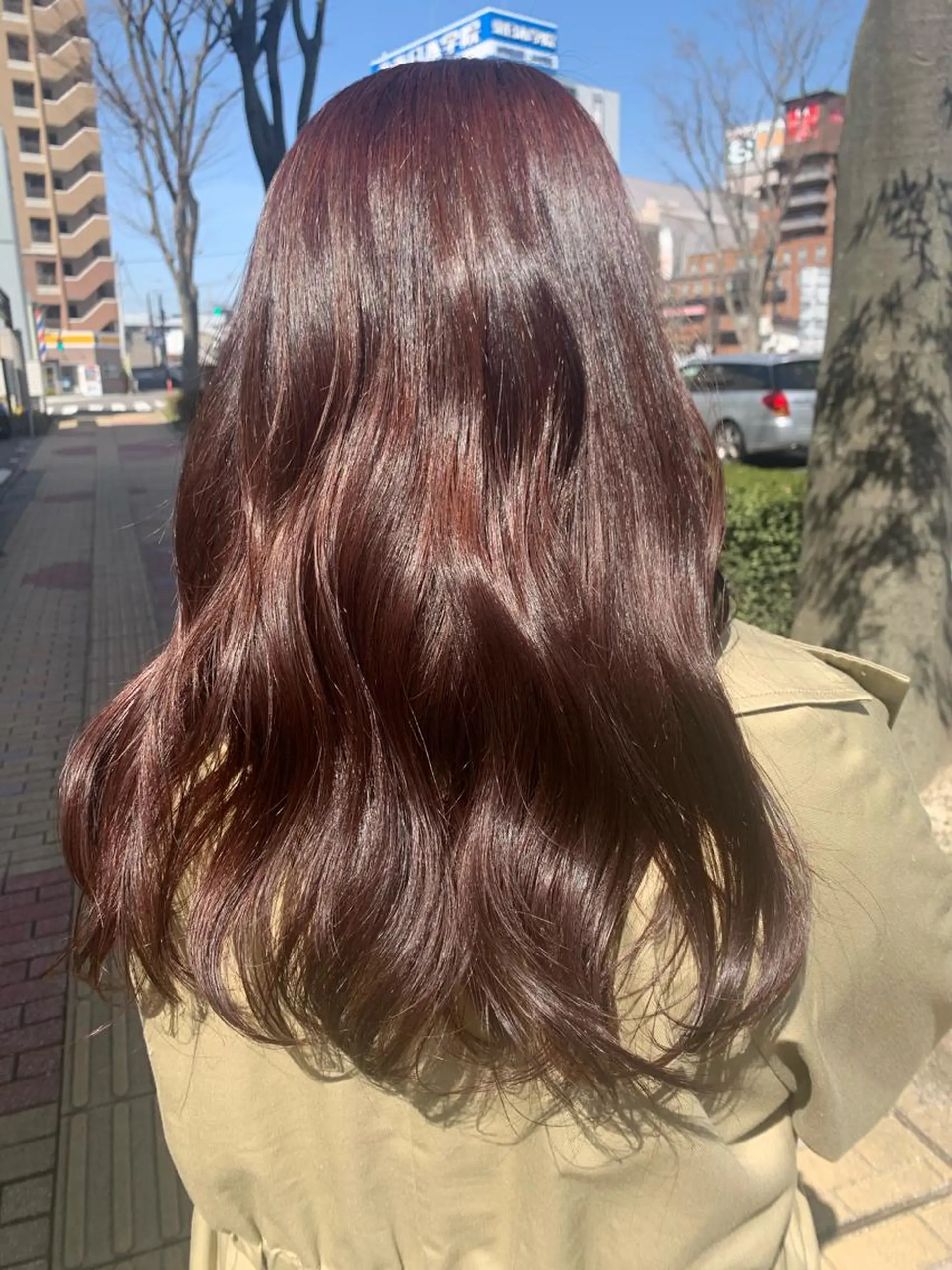 カラー ブリーチ ピンクカラー 韓国ヘア🦢🖤 Sayumiのヘアスタイル