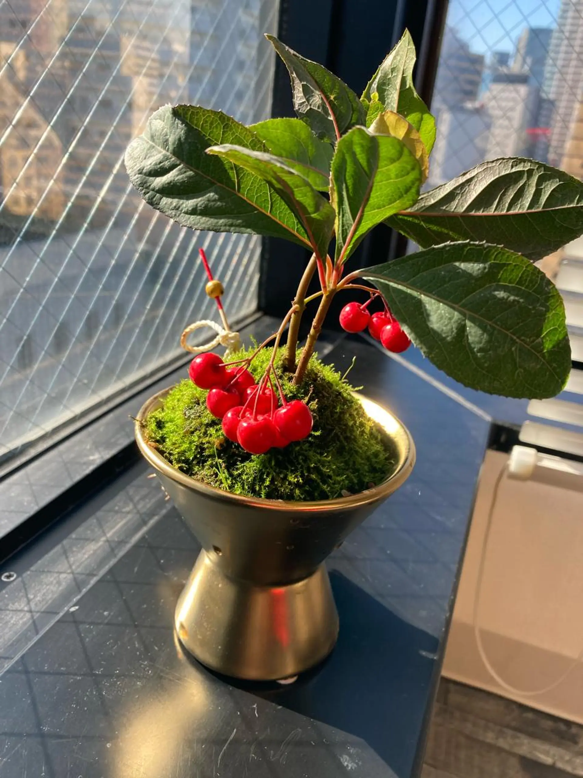 脱毛 Dahliaダリア シュガーリングサロンのエステ・リラクイメージ