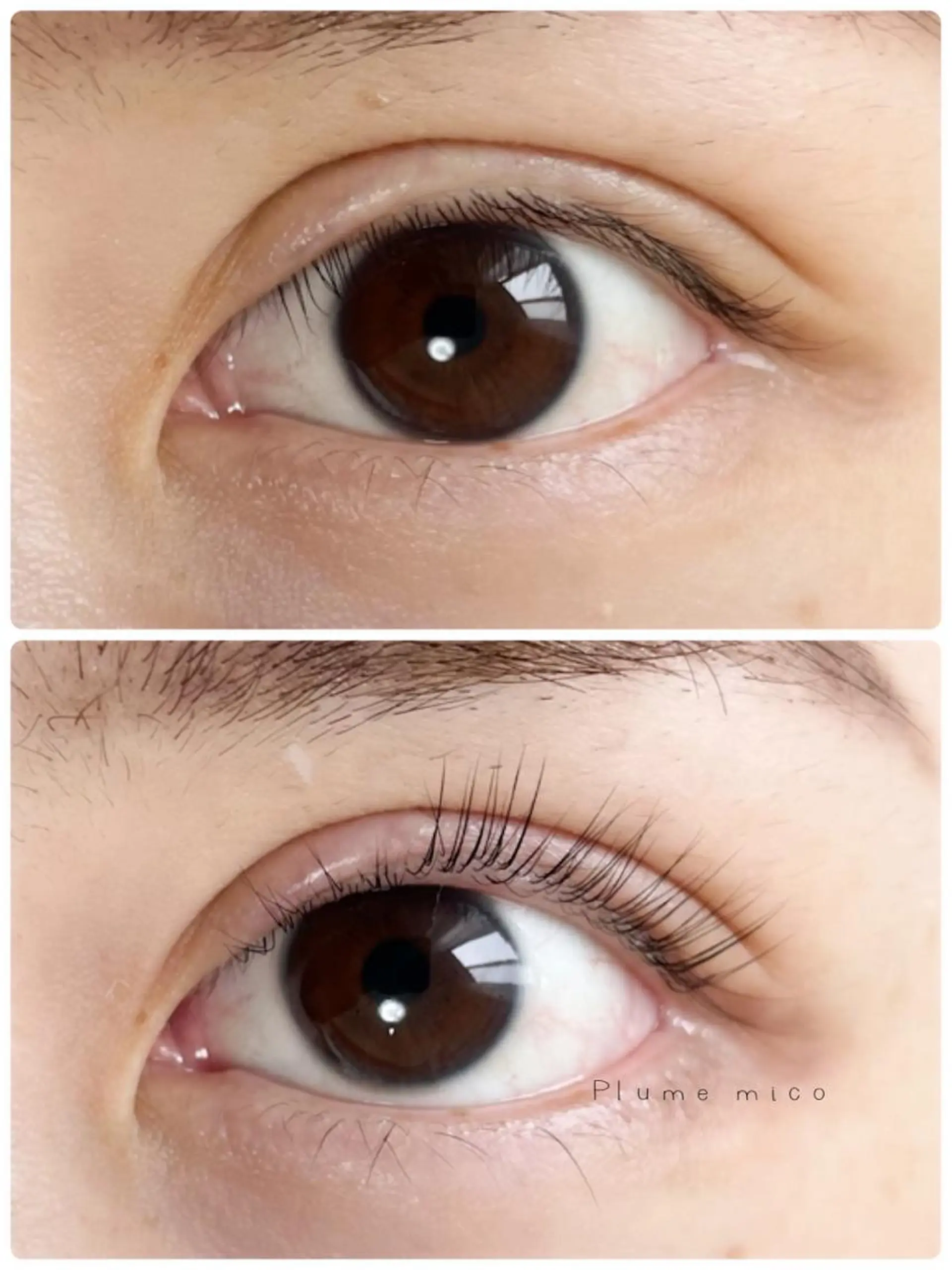 マツエク・マツパ マツパ Plume micoのマツエク・マツパデザイン