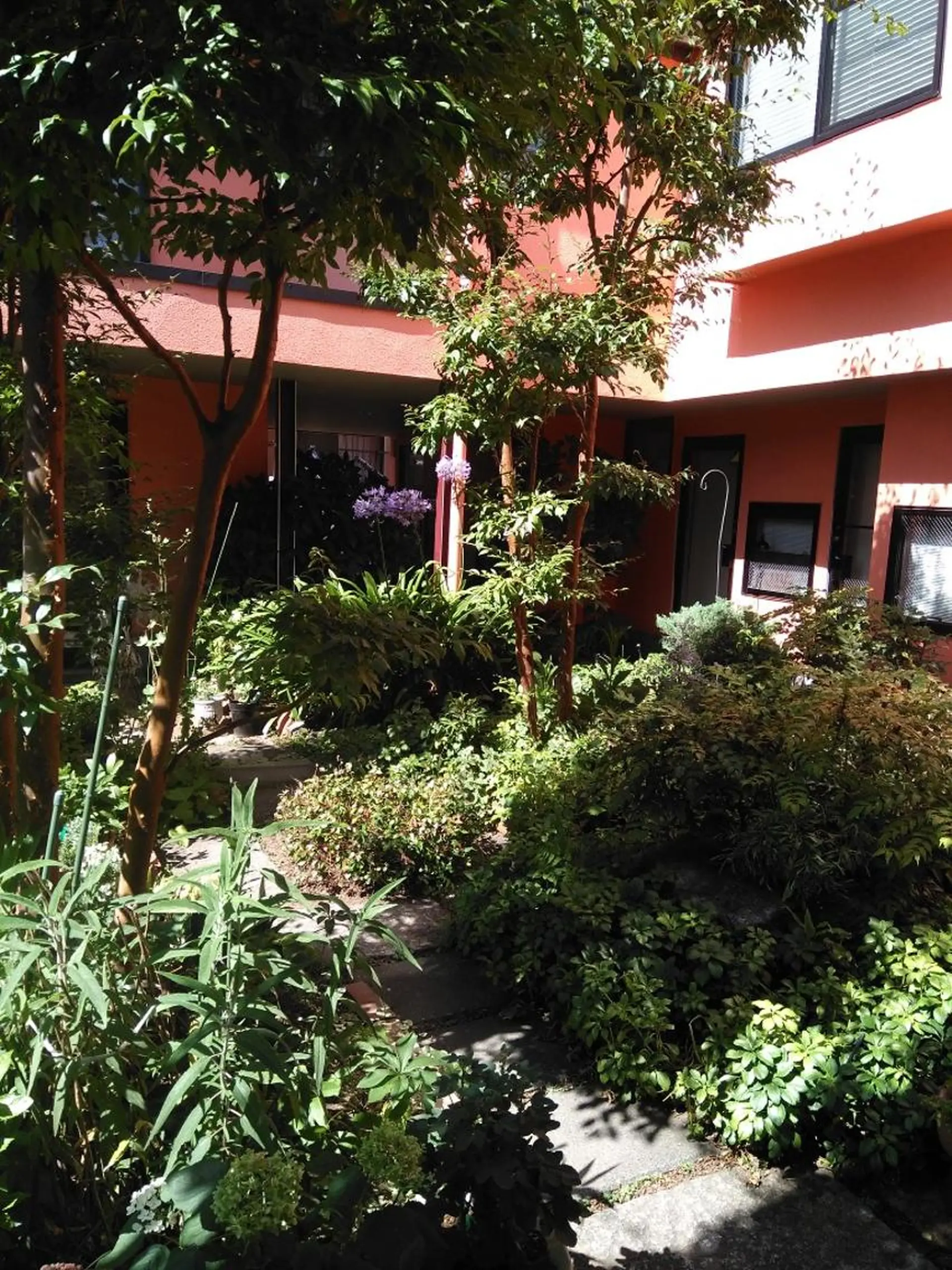 miya norikoの眉毛・アイブロウイメージ