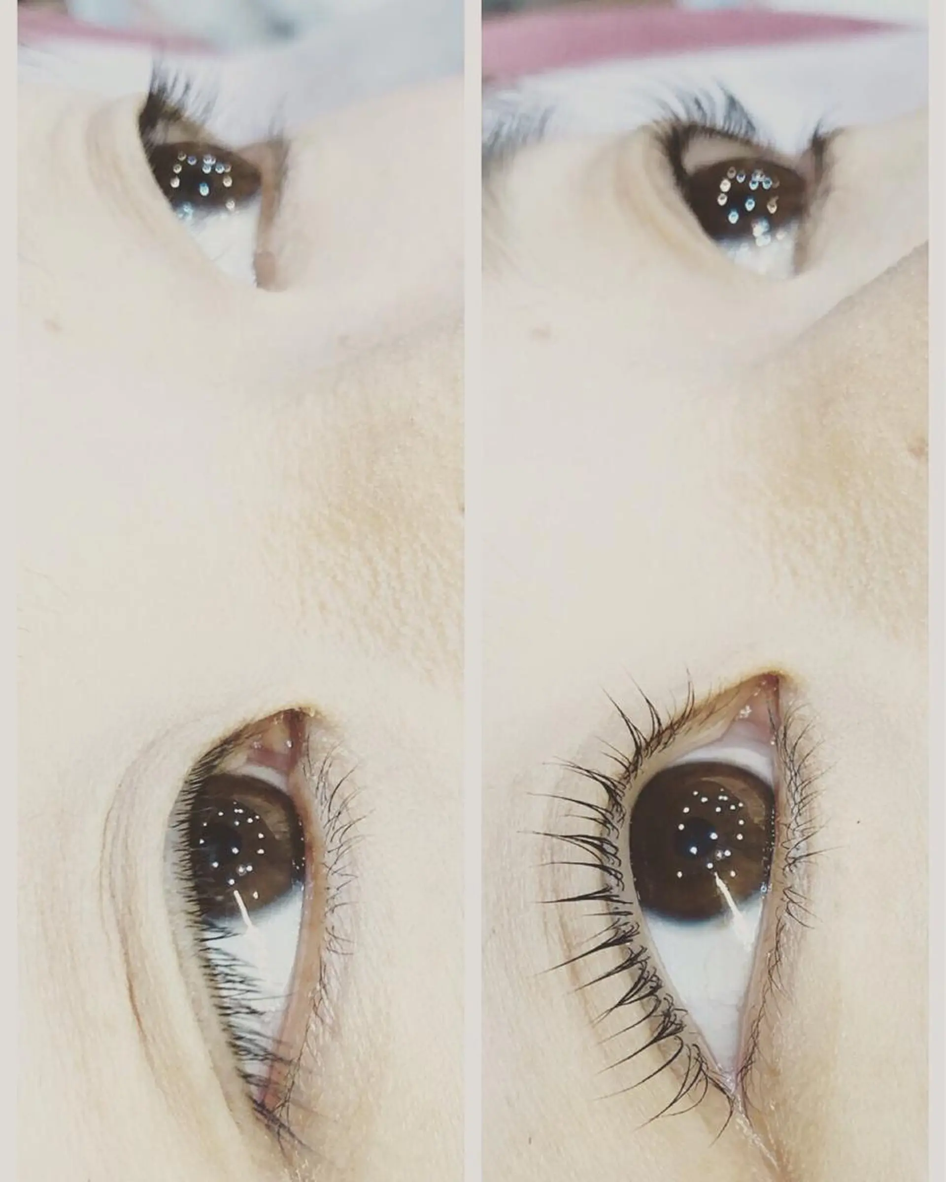 マツエク・マツパ MAK’s 草加店スタッフのネイルデザイン