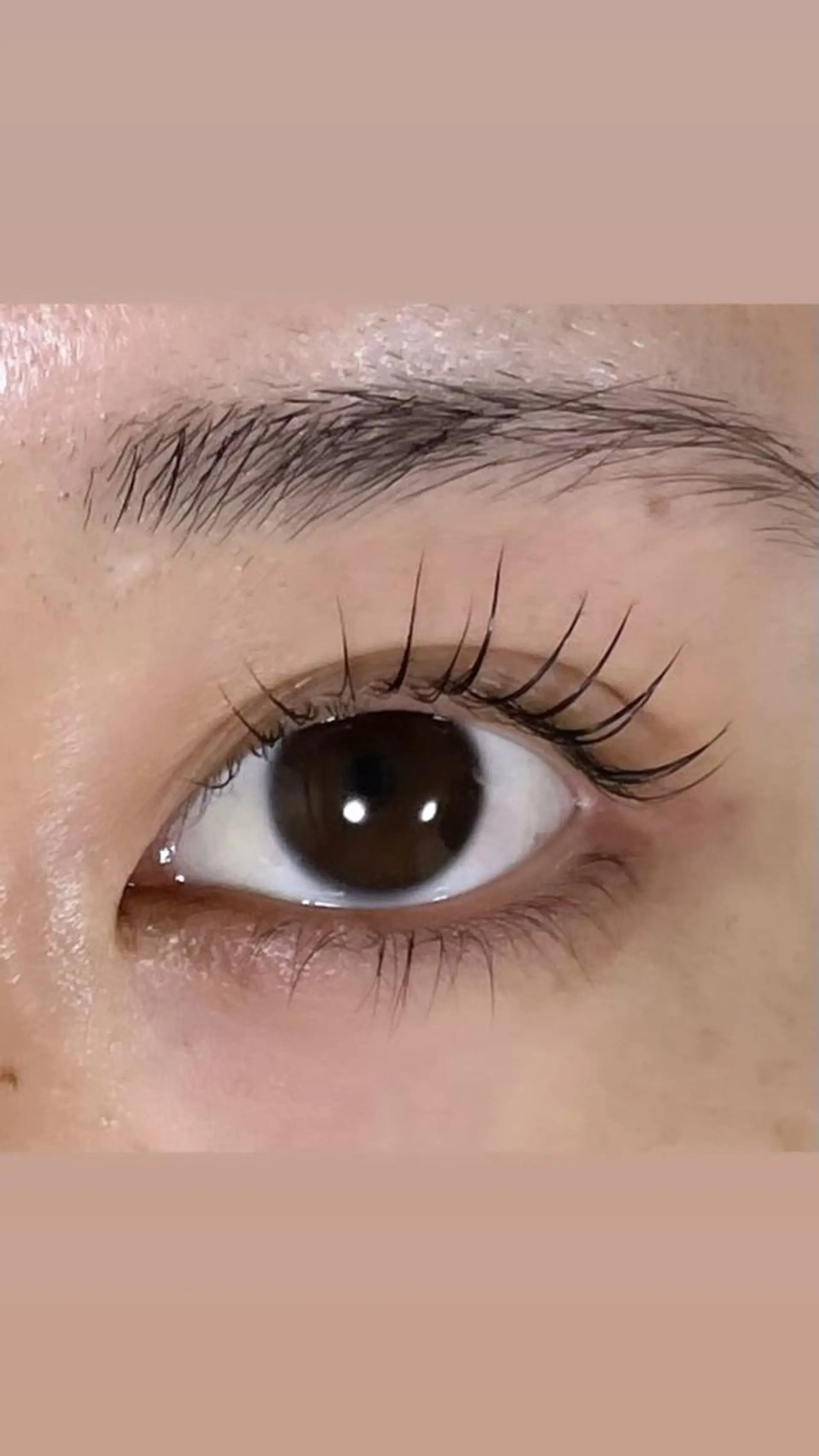 マツエク・マツパ パリジェンヌラッシュリフト マリーテレジア🤍 Suzukiのマツエク・マツパデザイン