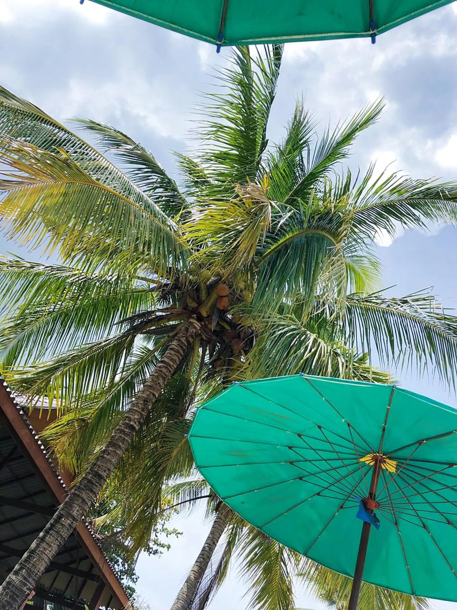 小濱 秀人のヘアスタイル