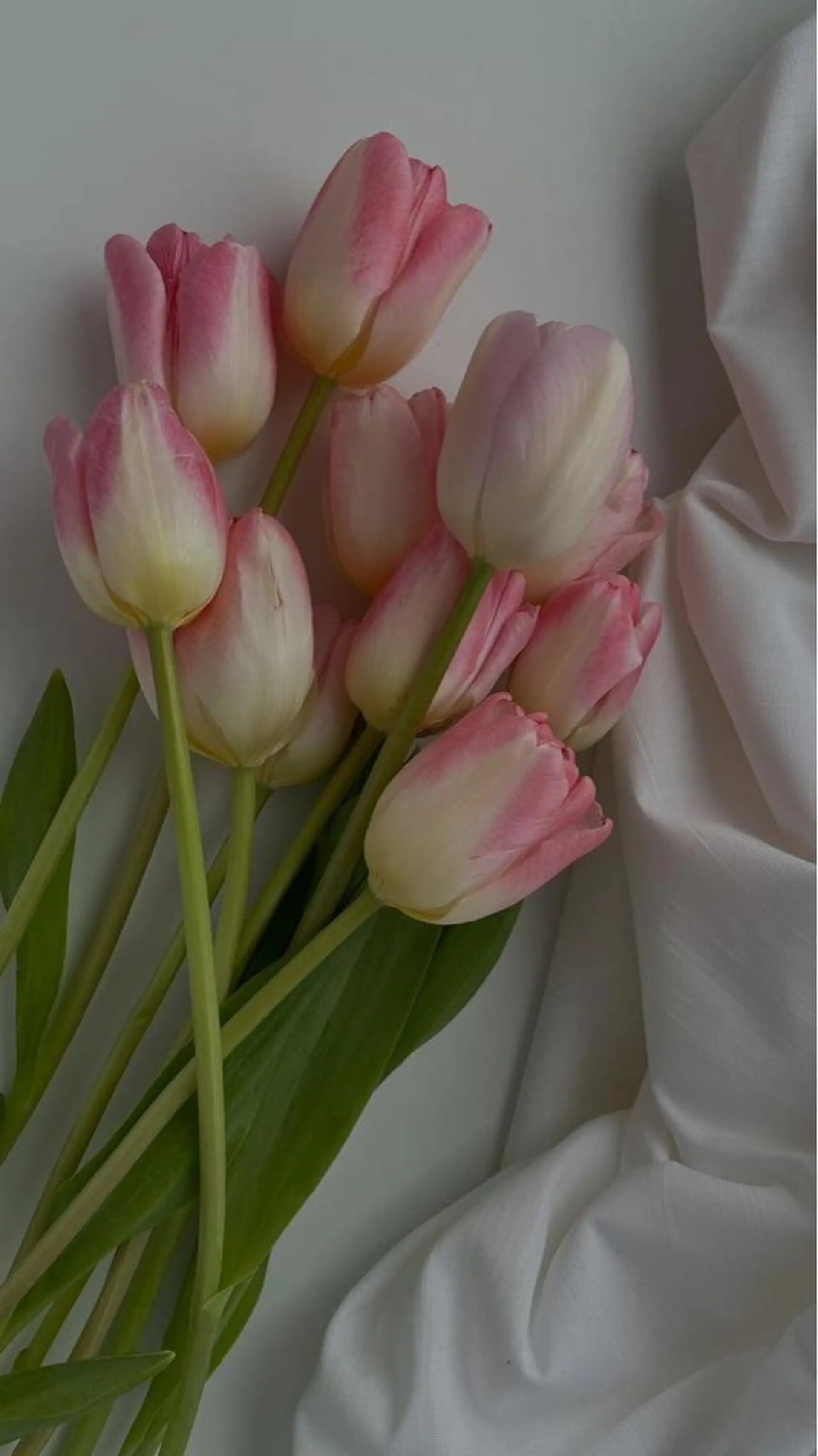 atelier es.のネイルデザイン