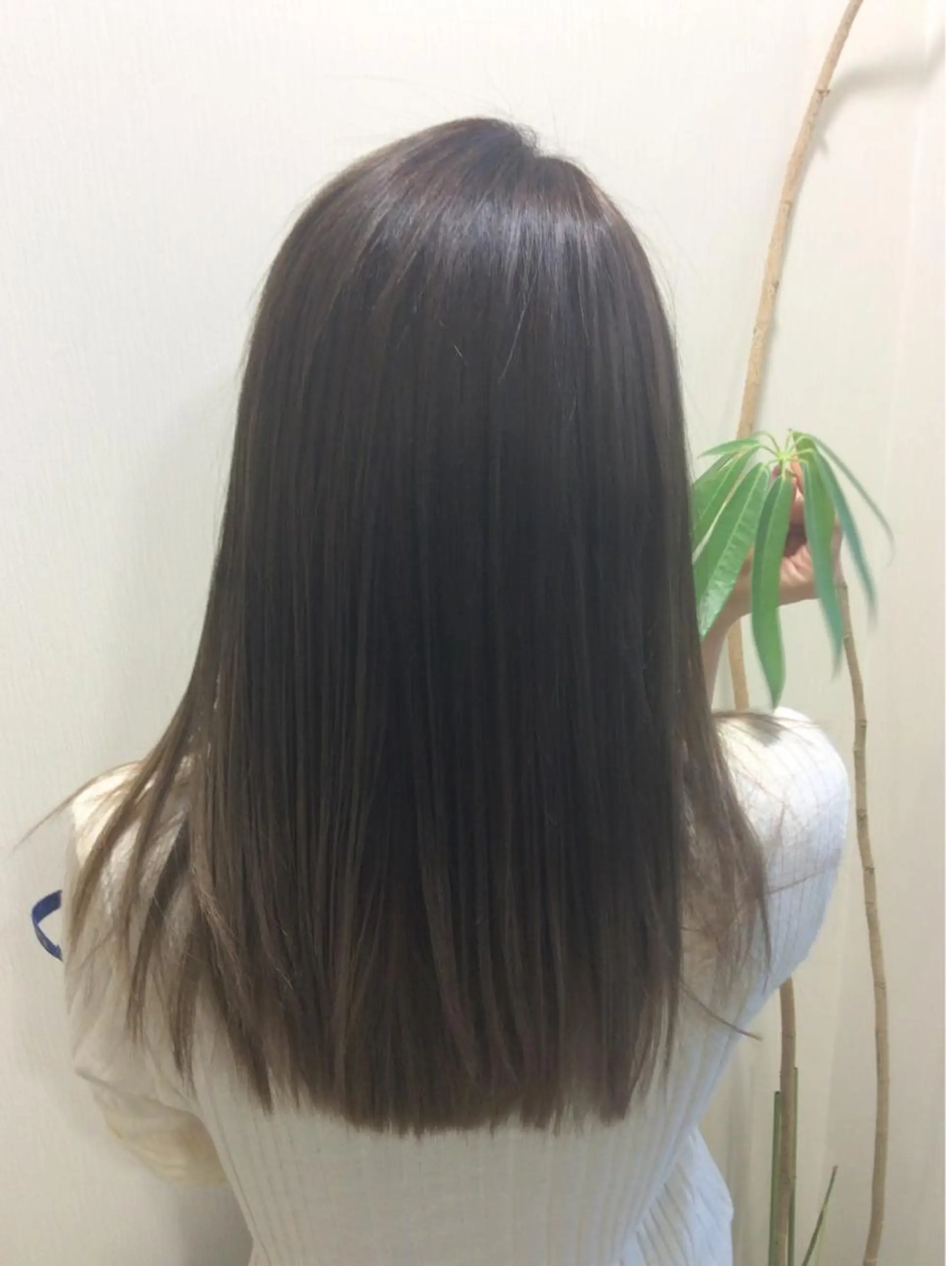 セミロング アッシュ 松井 恵太のヘアスタイル