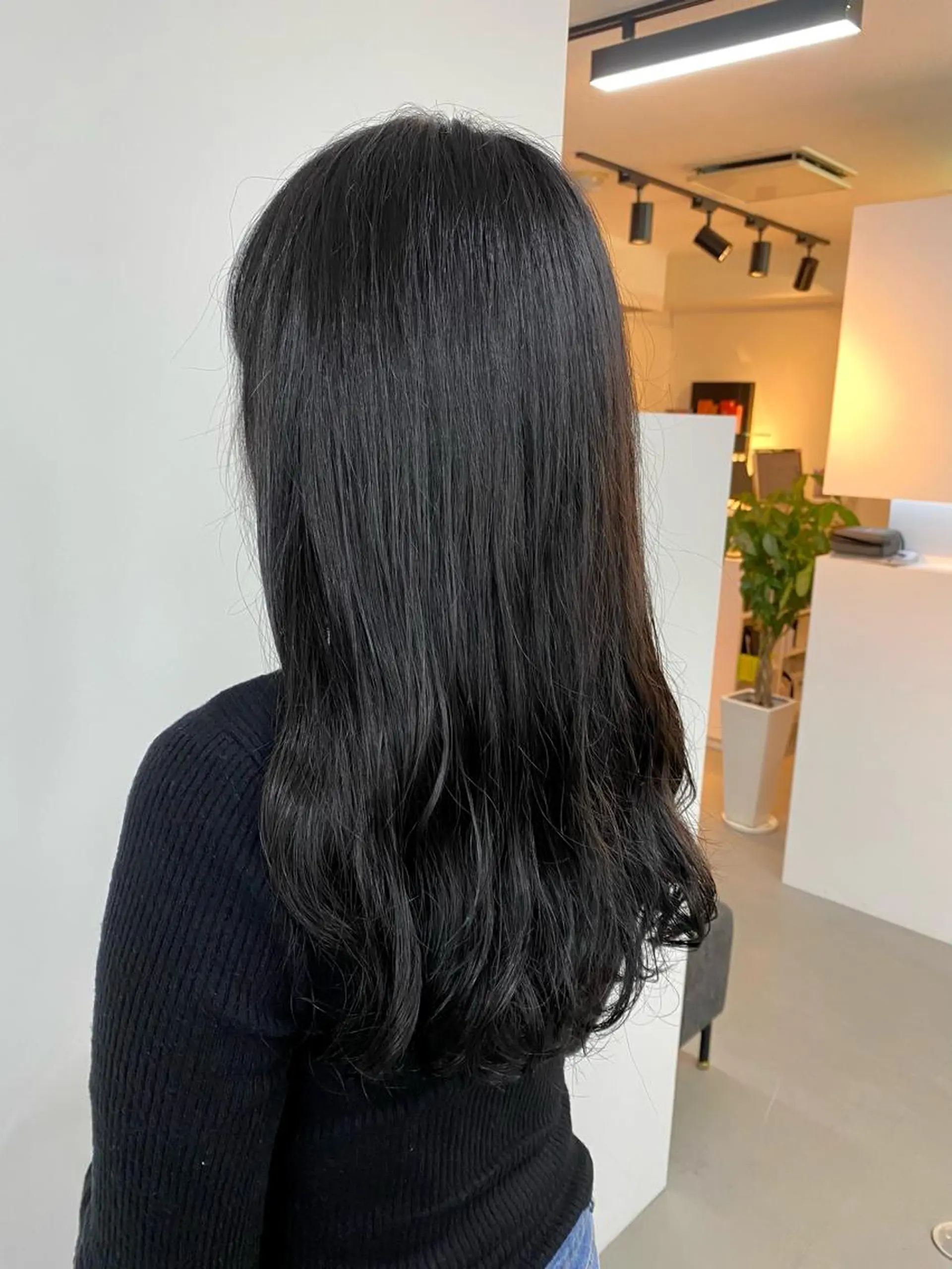 ロング カラー 黒髪 Aujuaソムリエ 🎨‎♡HARUのヘアスタイル