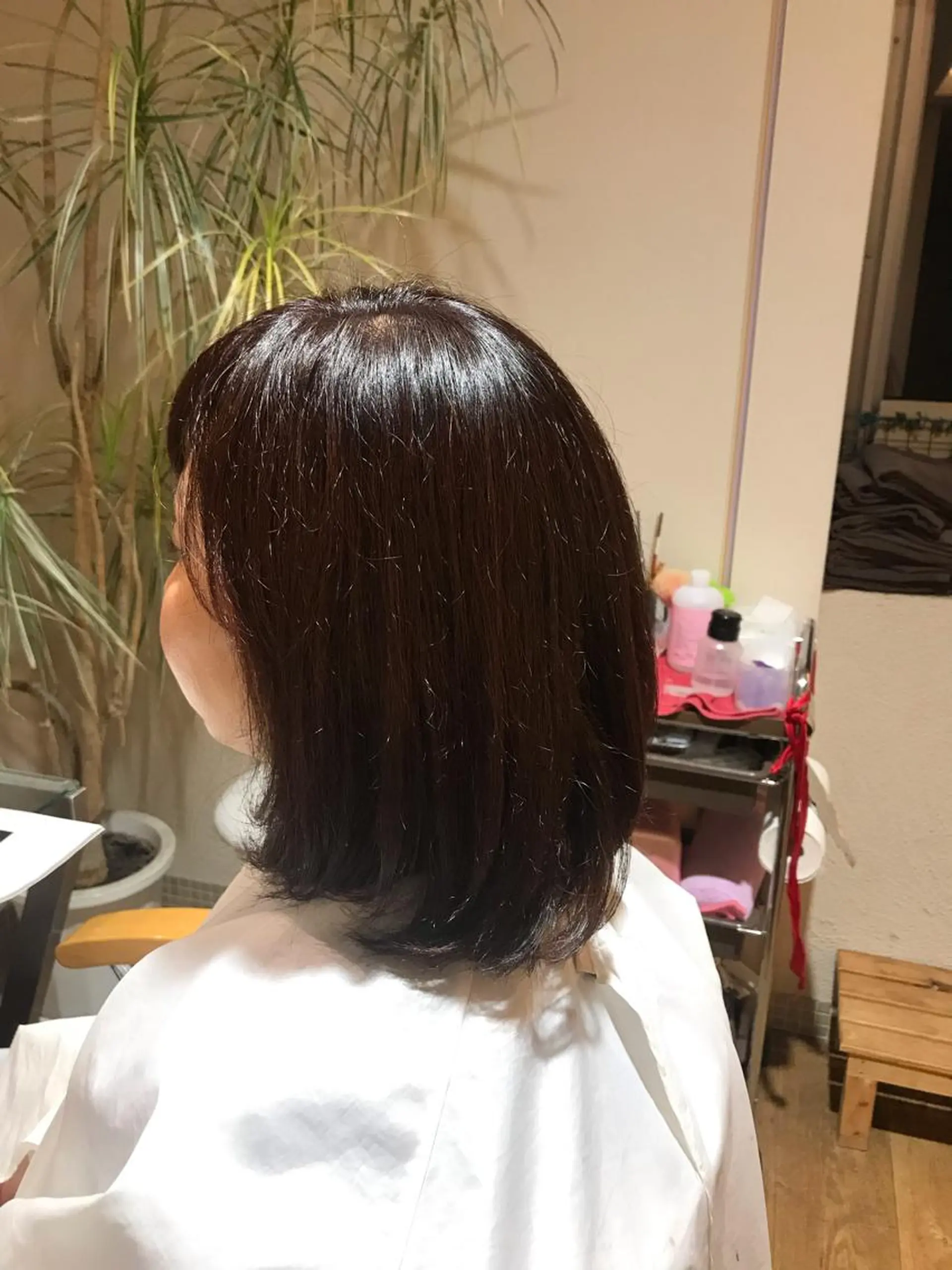 ミディアム カラー 山本 大智のヘアスタイル