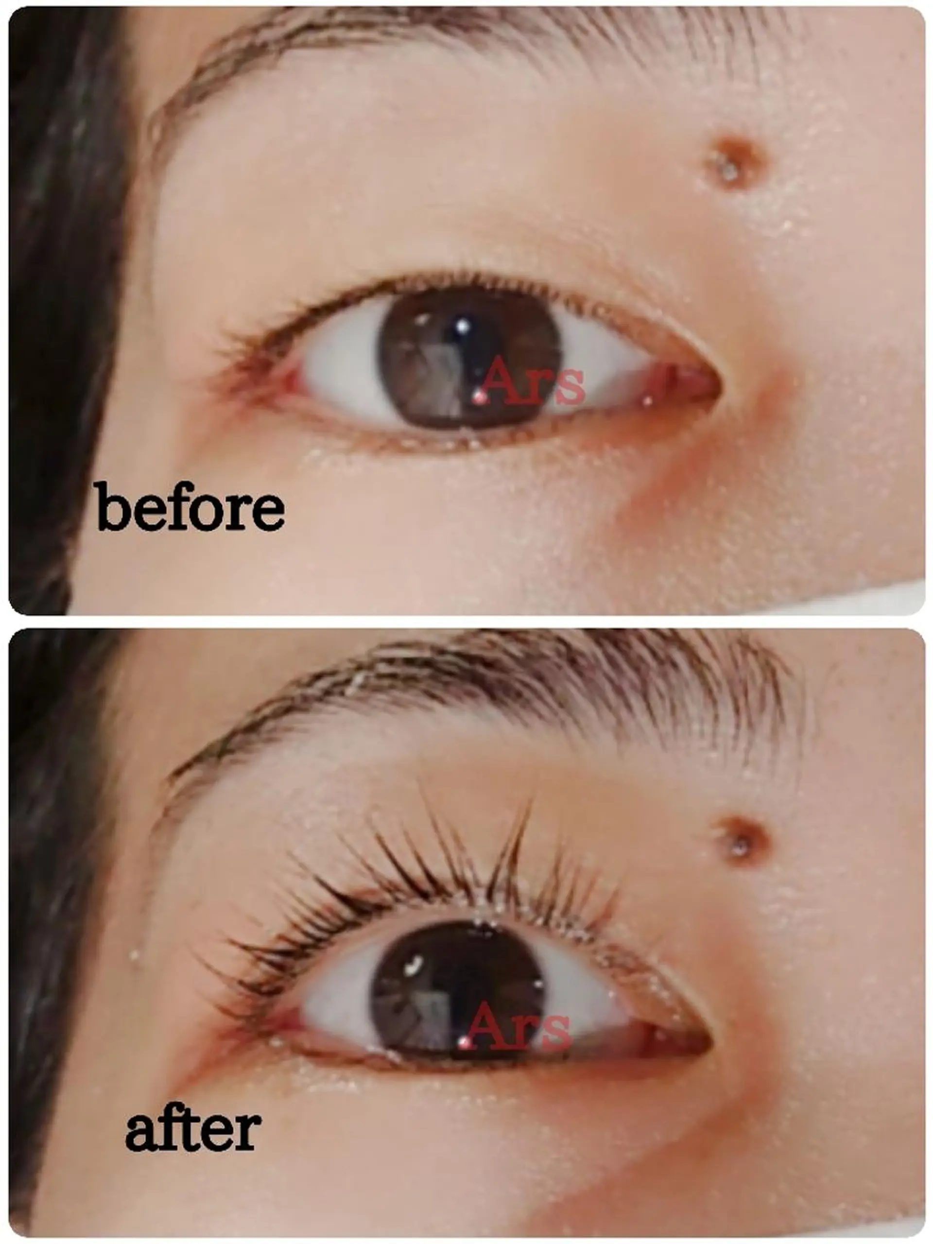 マツエク・マツパ アイリッドアップパーマ Ars      (ｱﾙｽ)のマツエク・マツパデザイン