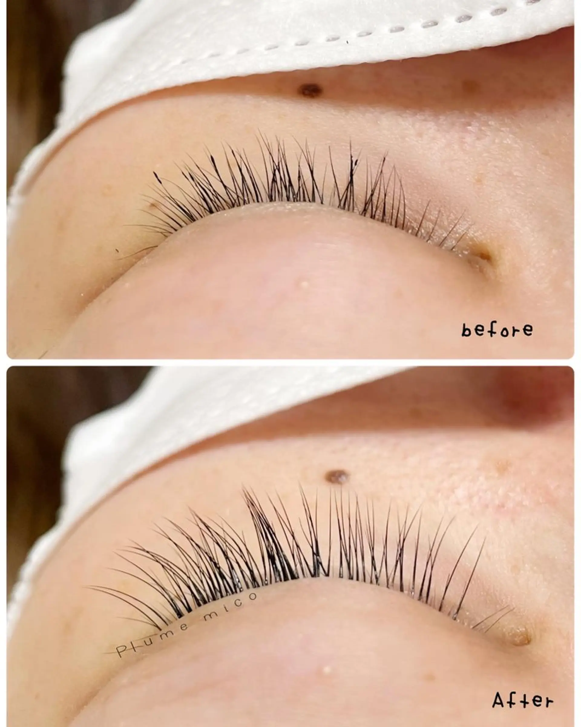 マツエク・マツパ マツエク Plume micoのマツエク・マツパデザイン