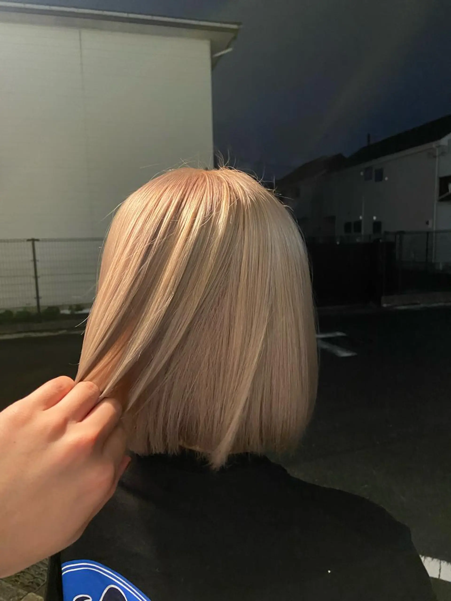 ショート カラー 🪼高評価🪼 💎柴崎の藤咲💎のヘアスタイル