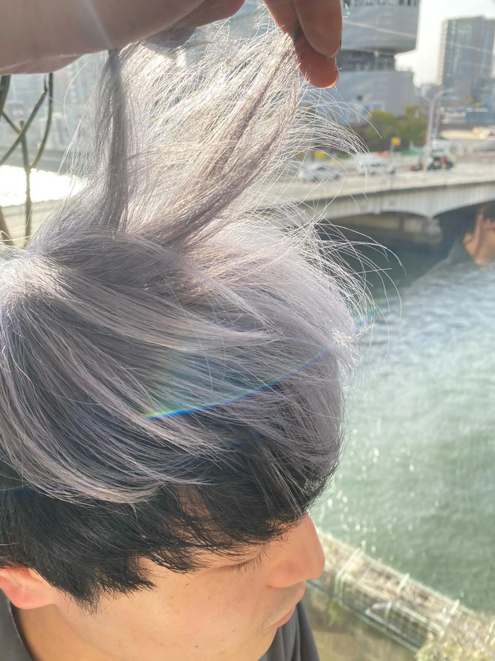 ショート カラー デザインカラー 似合わせカット レイヤー/ボブのヘアスタイル